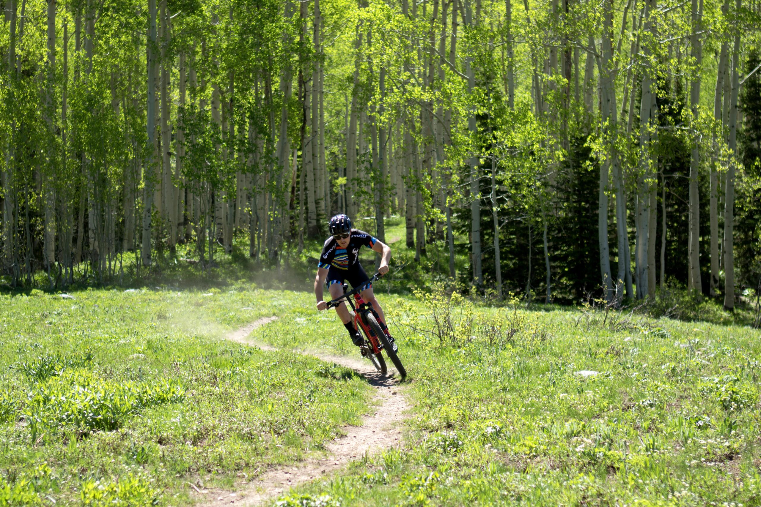 Pivot LES 27.5: A cyclist in a black and blue jersey rides along a dirt trail through a lush, green forest with tall, vibrant trees. Dust is kicked up from the ground as the rider turns sharply, showcasing an active outdoor scene in a sunny environment.