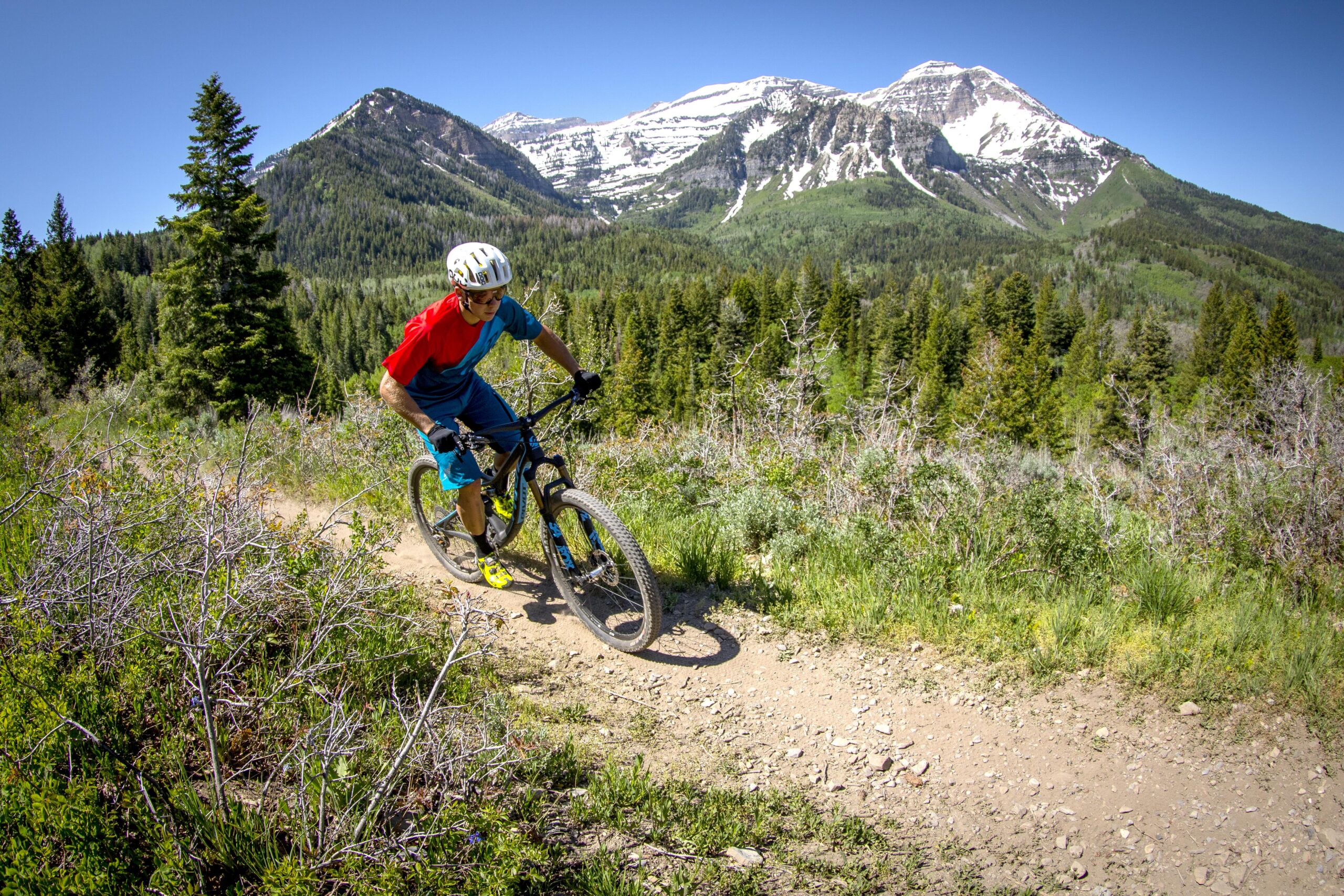 Pivot Mach 4: A person in a red and blue shirt rides a mountain bike on a dirt trail, surrounded by lush green trees and mountains in the background. Snow-capped peaks rise above the forest, under a clear blue sky.