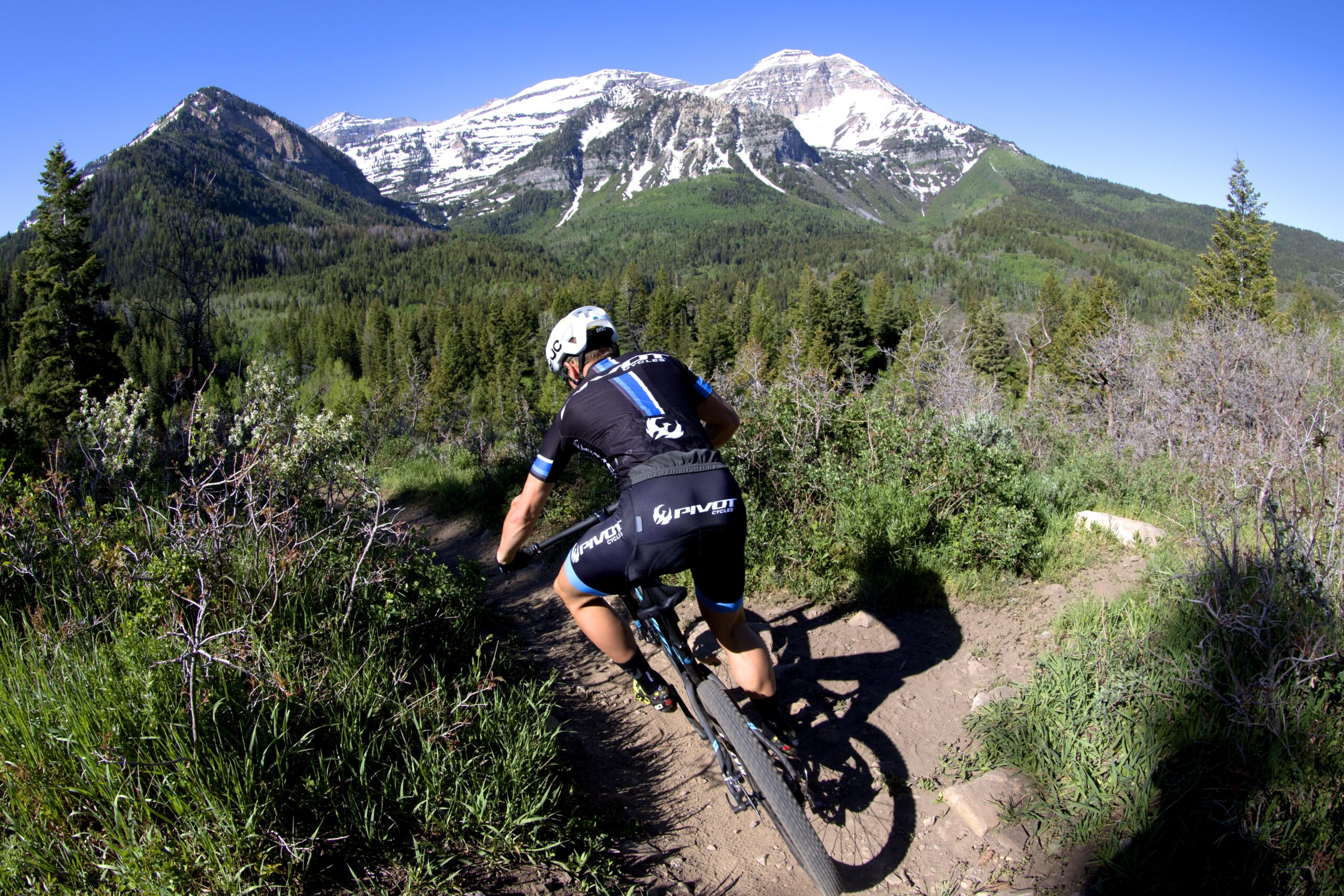 Pivot Mach 4: A mountain biker rides on a dirt trail surrounded by lush greenery and mountains in the background, some of which are capped with snow. The clear blue sky overhead enhances the vibrant natural scenery.