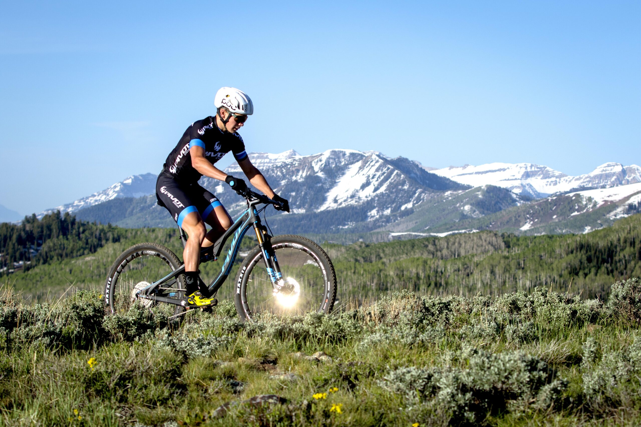 Pivot Mach 4: A cyclist in a black and blue outfit rides a mountain bike through a grassy landscape, with snow-capped mountains and clear blue sky in the background. The rider appears focused and is positioned on a path surrounded by greenery and wildflowers.
