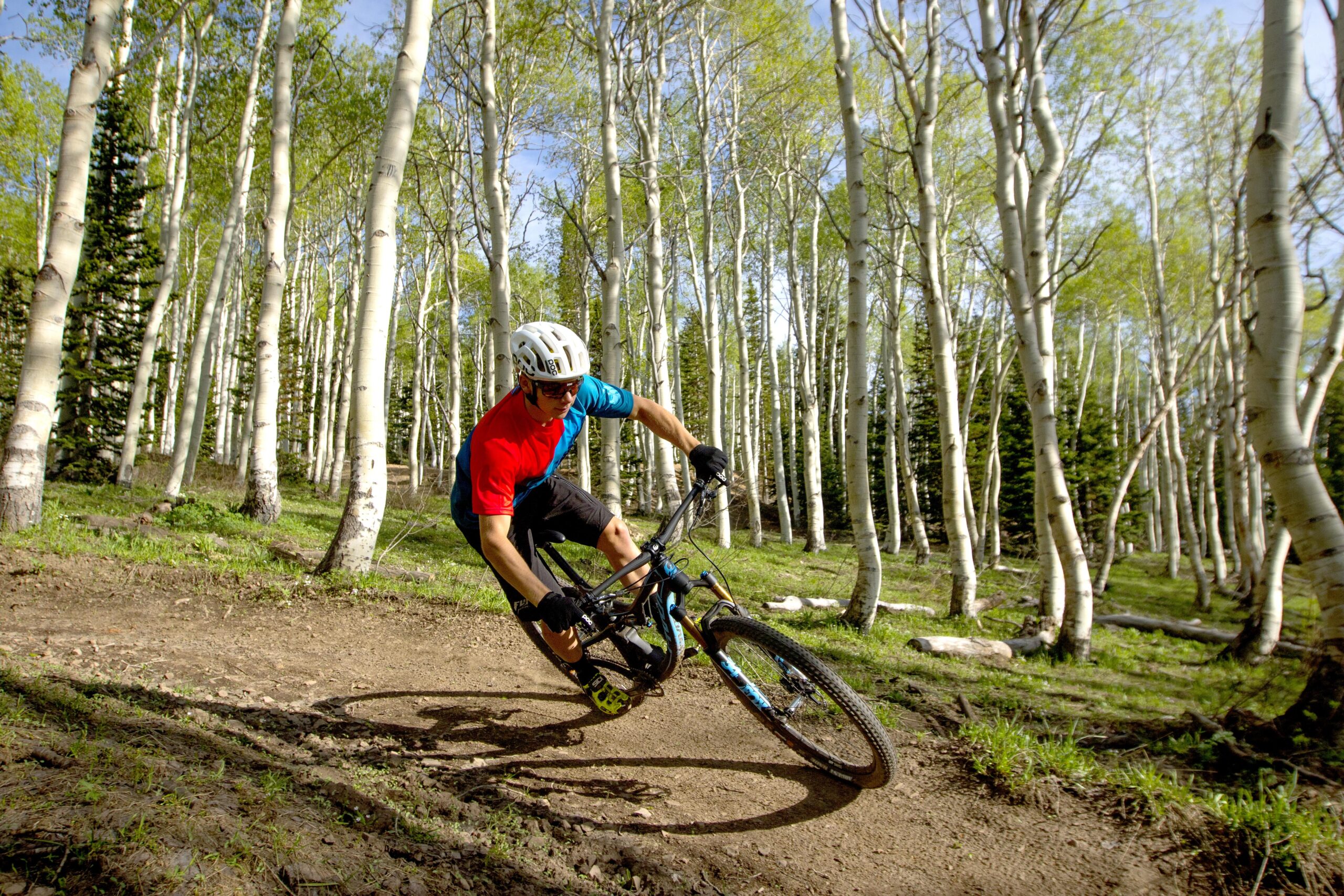Pivot Mach 4: A mountain biker wearing a helmet and sunglasses navigates a dirt trail through a forest of tall, slender trees with bright green leaves, showcasing their skills as they lean into a corner on their bike.