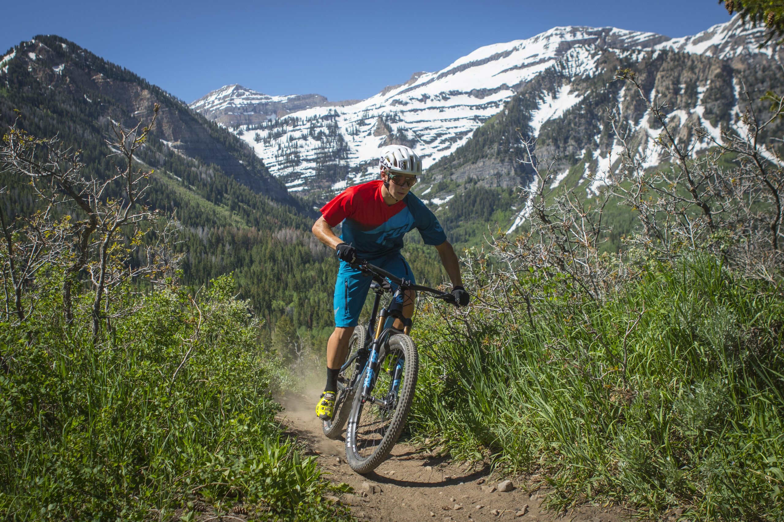 Pivot Mach 4: A mountain biker navigating a dirt trail in a mountainous landscape, with snow-capped peaks in the background and lush greenery on either side. The biker is wearing a red and blue shirt, blue shorts, and a helmet, showcasing an action-packed moment as dust kicks up from the tires.