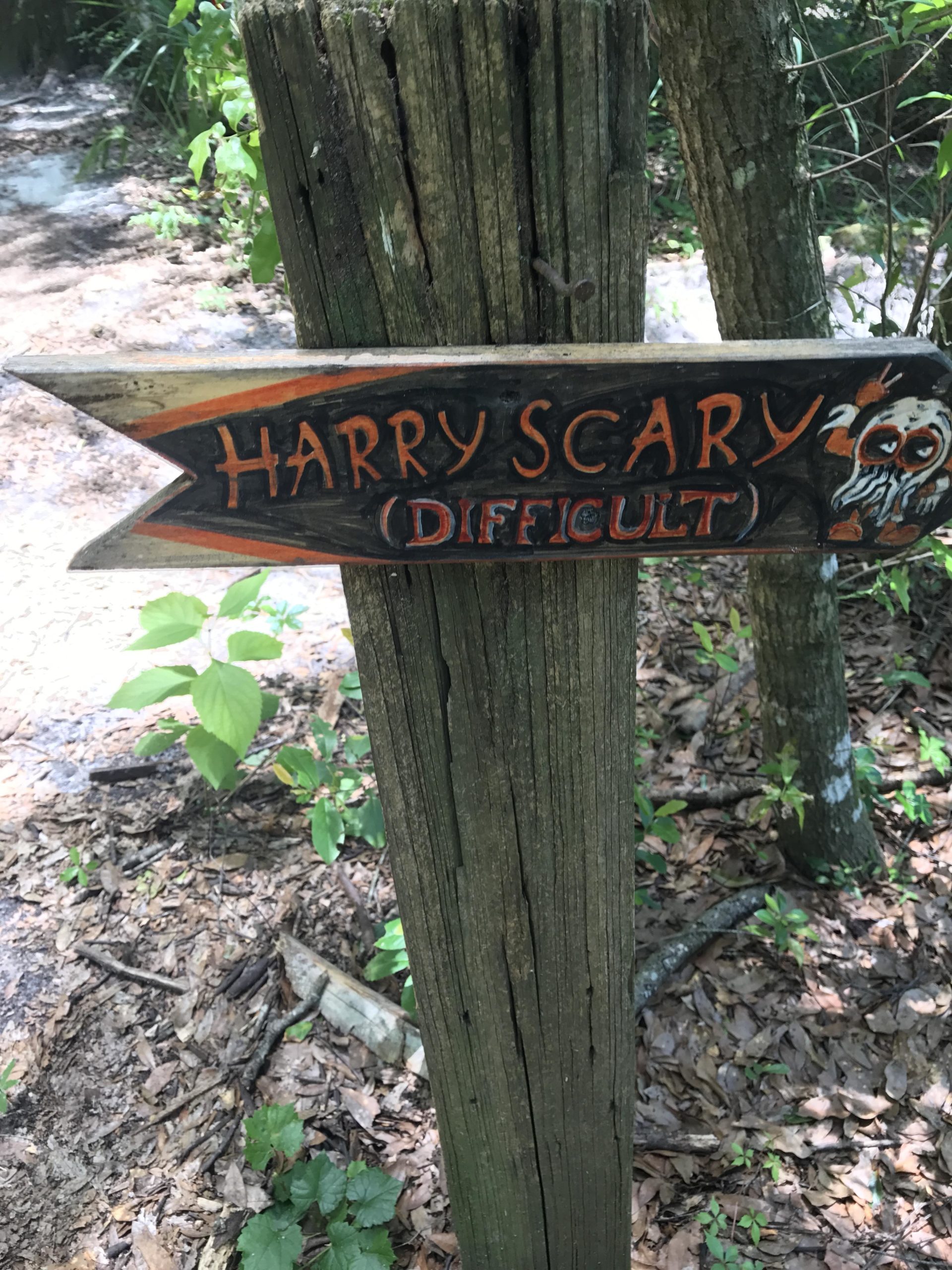 A wooden sign post in a forest, featuring an arrow pointing left with the text "HARRY SCARY (DIFFICULT)" in bold, stylized letters. The sign is decorated with an illustration of a spooky character or ghost. Surrounding the sign are green plants and fallen leaves on the forest floor. Mount Dora Trail mountain bike trail.
