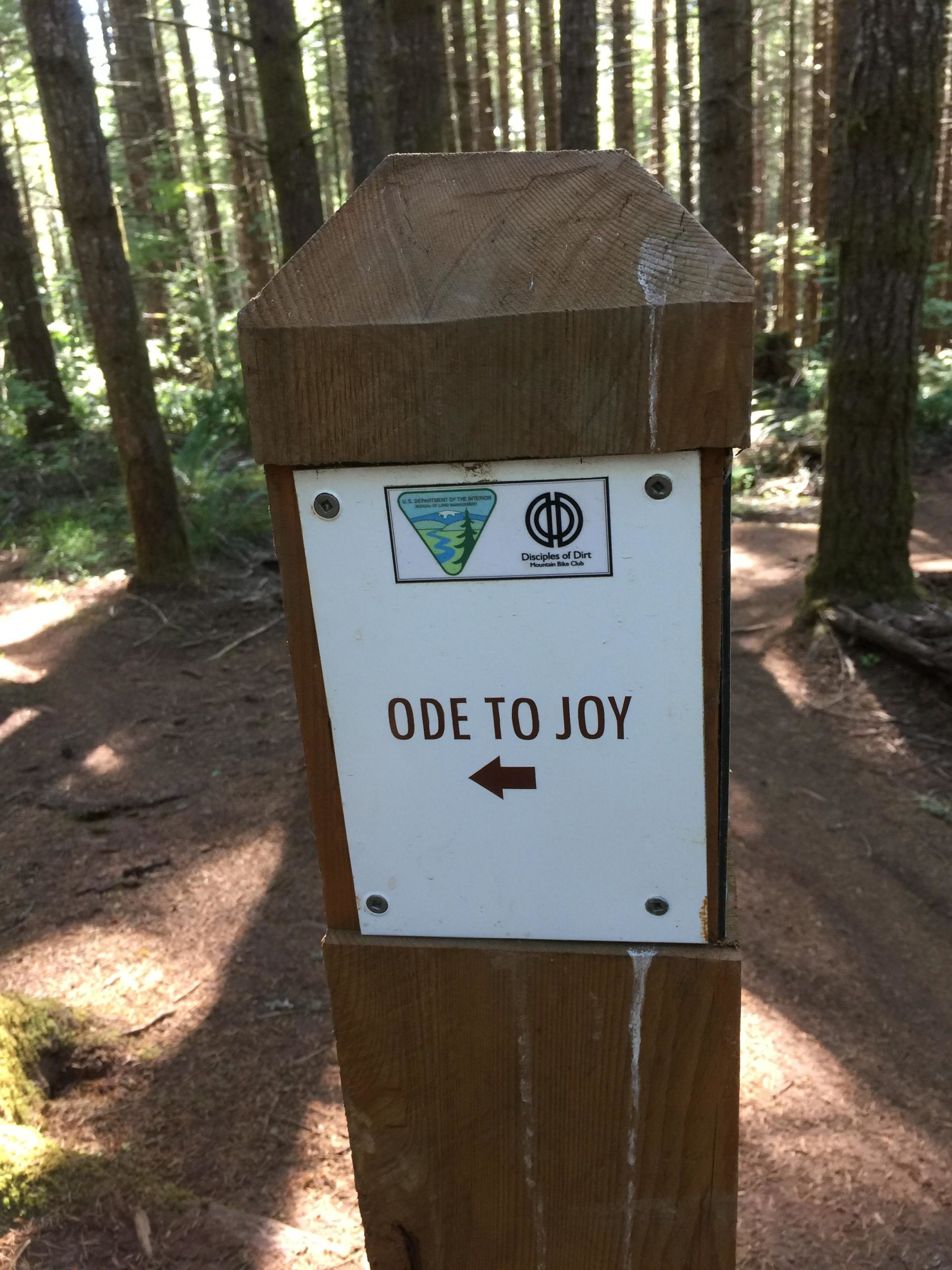 A wooden trail marker in a forest, indicating the direction to "Ode to Joy" with an arrow pointing to the left. The sign features logos from the U.S. Department of the Interior and the organization "Disciples of Dirt." The surrounding area showcases tall trees and a forest floor with patches of sunlight peeking through the leaves. Whypass mountain bike trail.