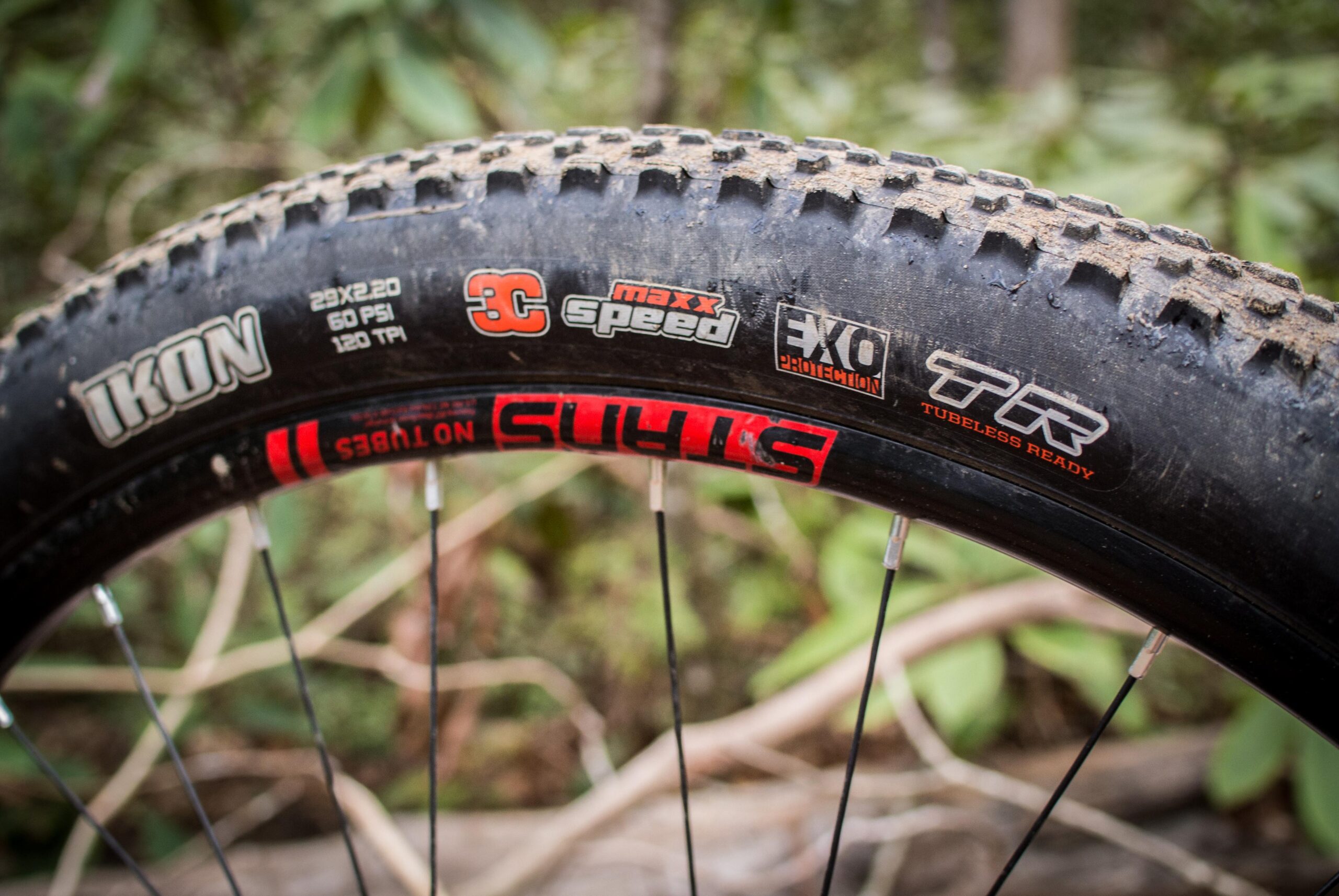 Rocky Mountain Element: Mountain bike tire close-up showing tread pattern and specifications, including "IKON," "maxx speed," and "EXO Protection," with dirt on the sidewall, set against a natural background.