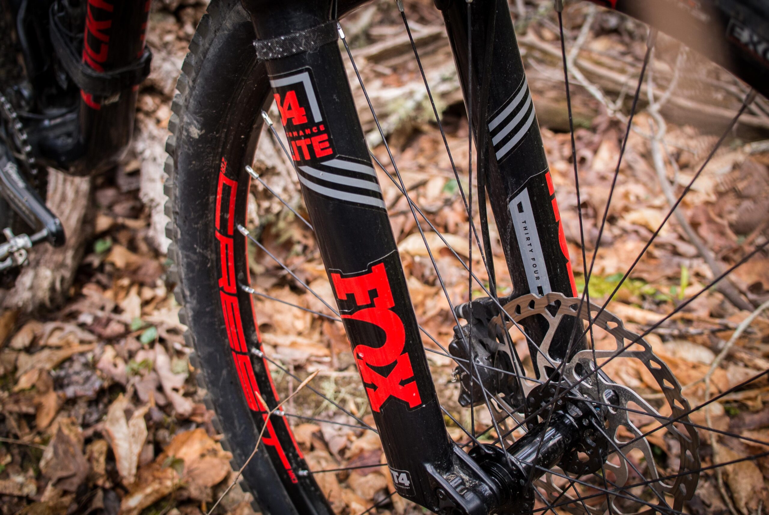 Rocky Mountain Element: Close-up of a mountain bike's front fork, featuring a black and red Fox Racing logo along with a disc brake and wheel, set against a backdrop of fallen leaves.