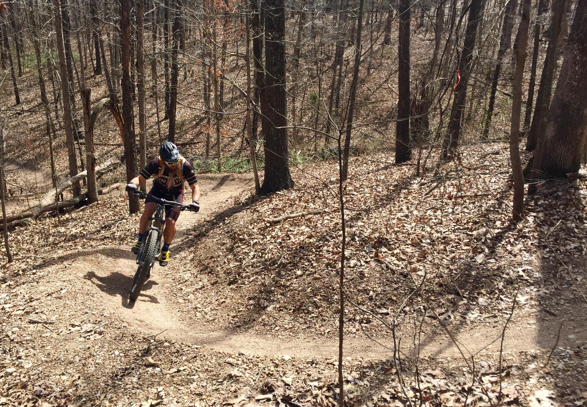 A mountain biker rides along a dirt path in a wooded area, surrounded by trees with sparse leaves and a forest floor covered in dry leaves. The sun shines through the branches, creating dappled light on the trail. Back 40 mountain bike trail.