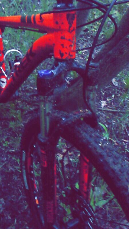 Trek X-Caliber 8: Close-up of a muddy mountain bike, highlighting the front fork, handlebars, and some parts of the frame. The bike features a vibrant orange color with noticeable dirt and mud, indicating recent off-road use. Background consists of greenery, suggesting a natural, outdoor setting.