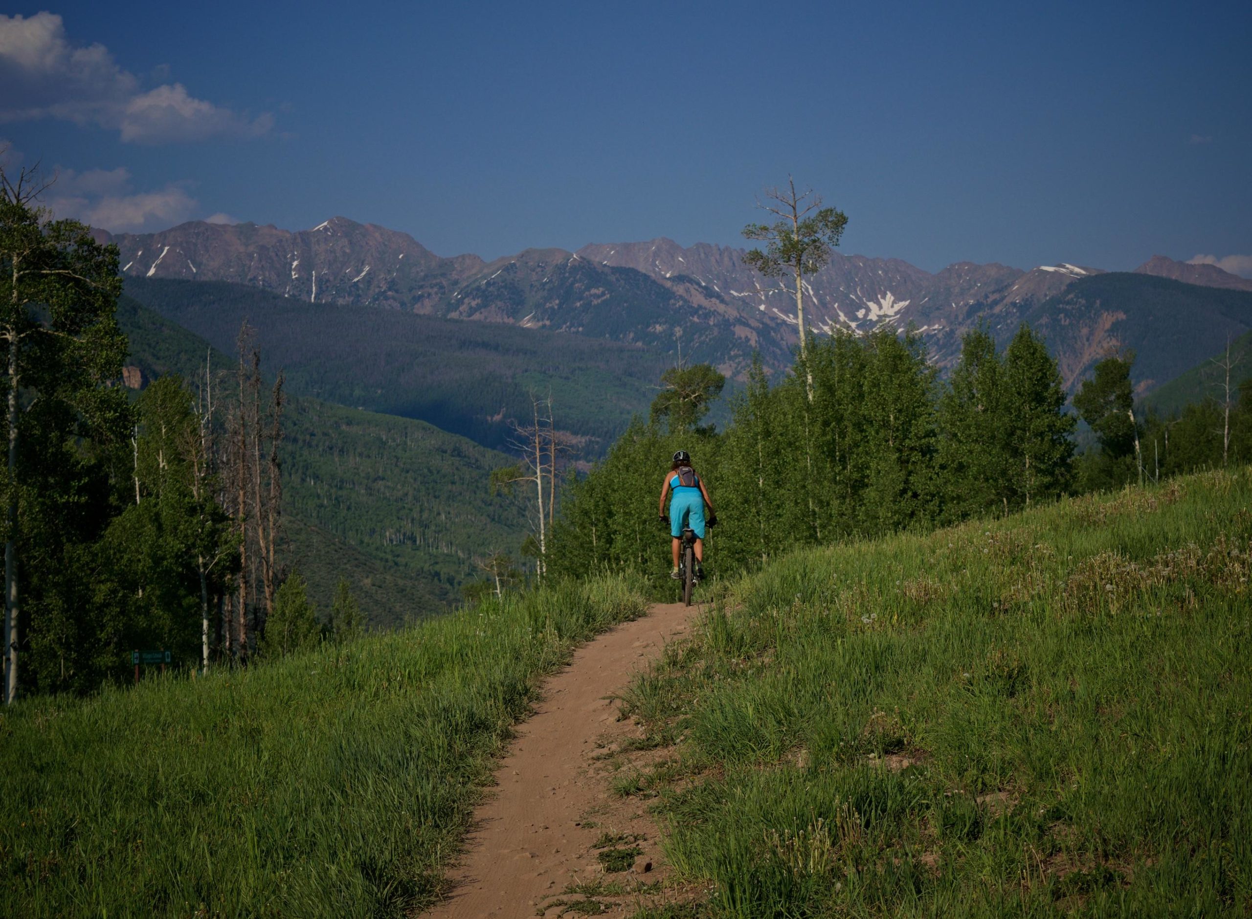 A person riding a mountain bike on a dirt trail surrounded by greenery, with mountains in the background under a clear blue sky. Vail Mountain Bike Park mountain bike trail.