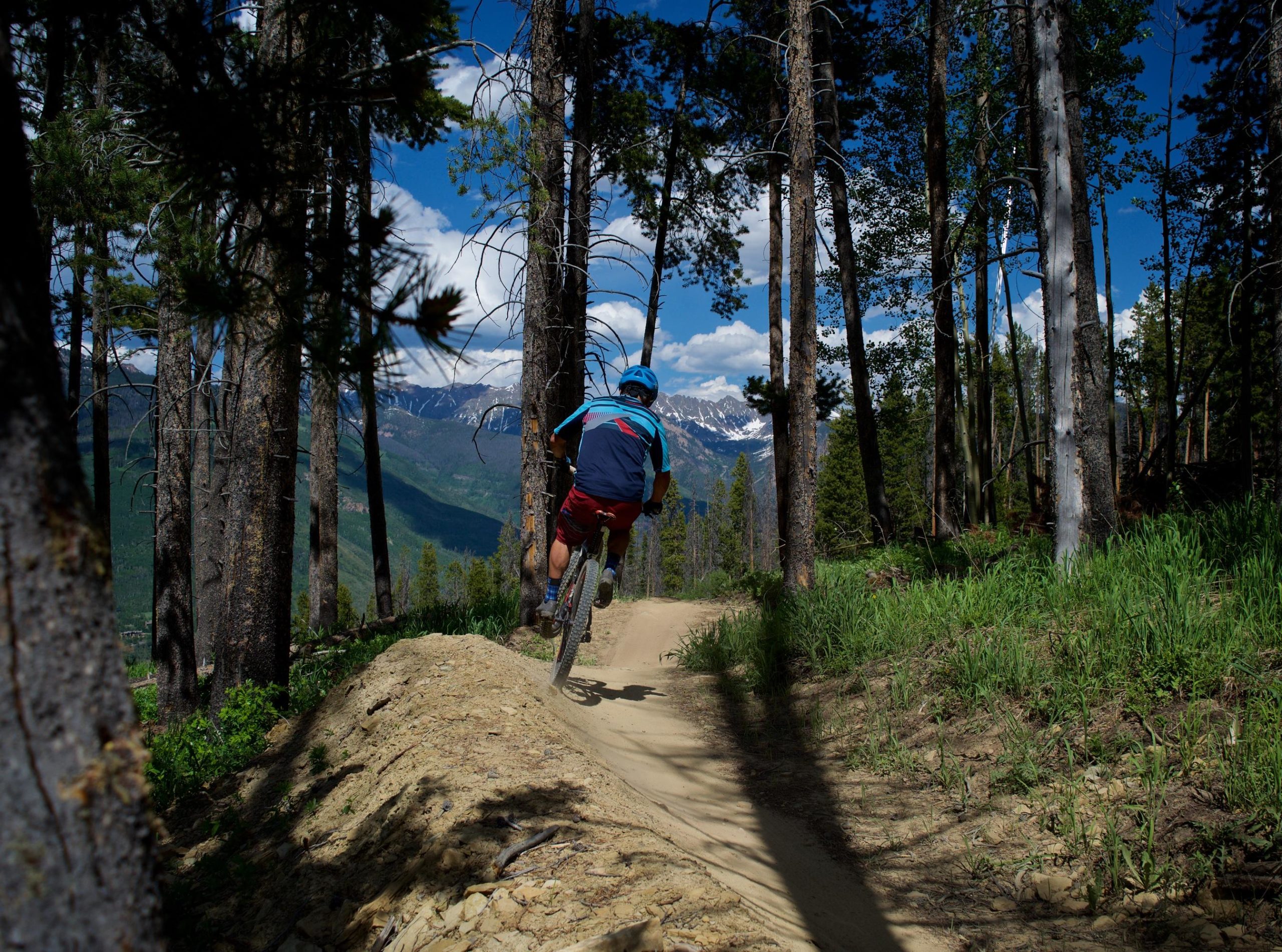 A mountain biker riding through a forested trail, catching air off a dirt jump, with snow-capped mountains visible in the background under a blue sky dotted with clouds. Pine trees frame the scene, emphasizing the natural beauty of the surroundings. Vail Mountain Bike Park mountain bike trail.