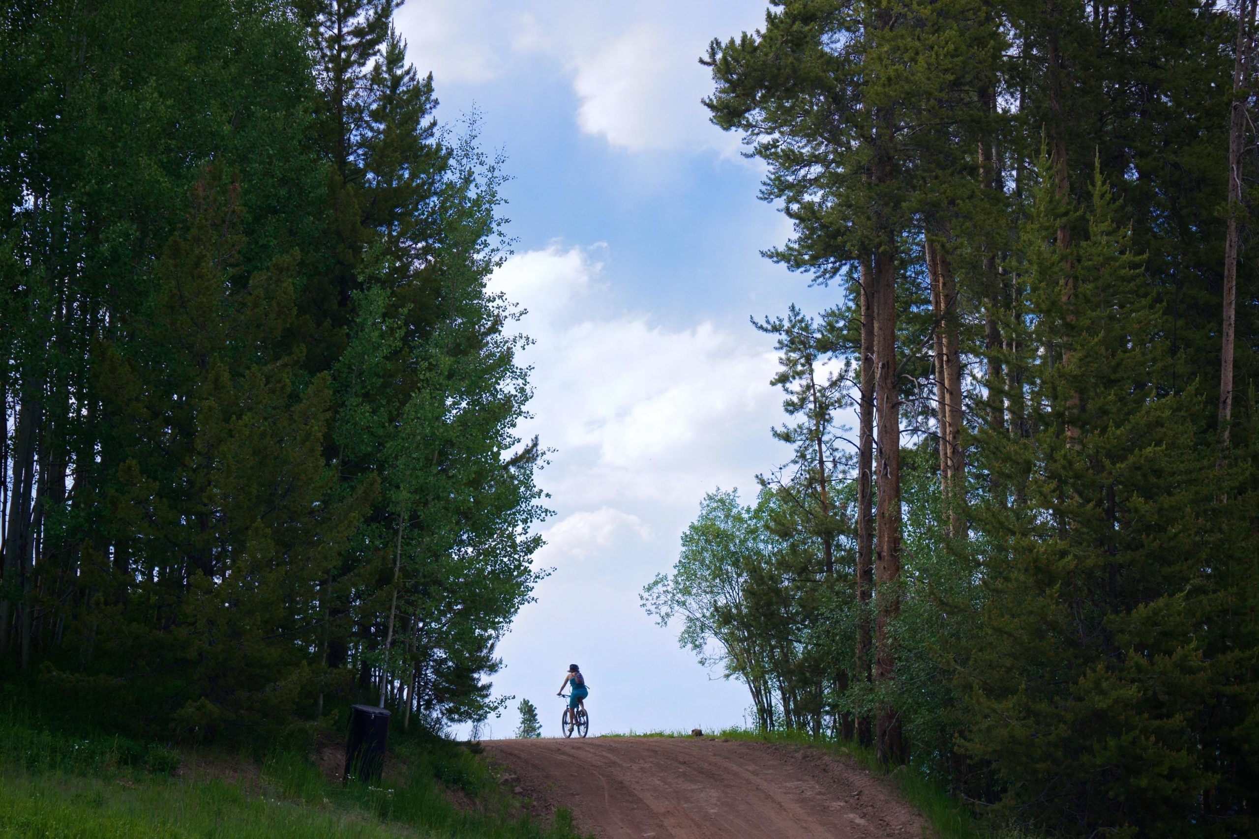 A person riding a bicycle down a dirt path surrounded by tall trees and greenery against a cloudy blue sky. Vail Mountain Bike Park mountain bike trail.