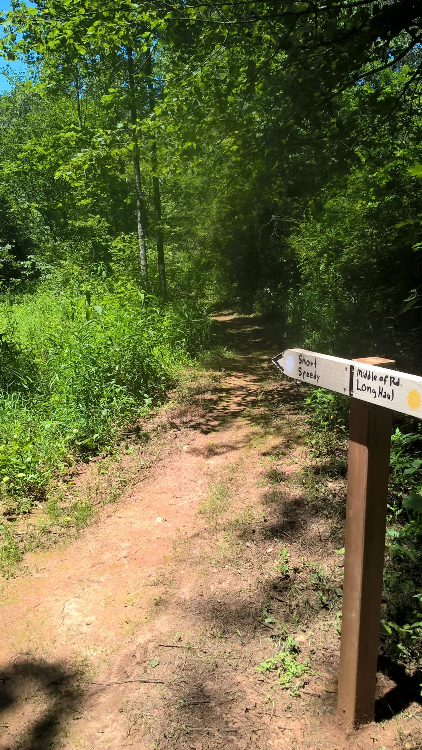 A dirt trail winding through a lush green forest, with a wooden signpost indicating different paths: "Short Speedy," "Middle of Rd," and "Long Haul." Sunlight filters through the trees, casting dappled shadows on the ground. Old Place Mountain Bike Trail mountain bike trail.