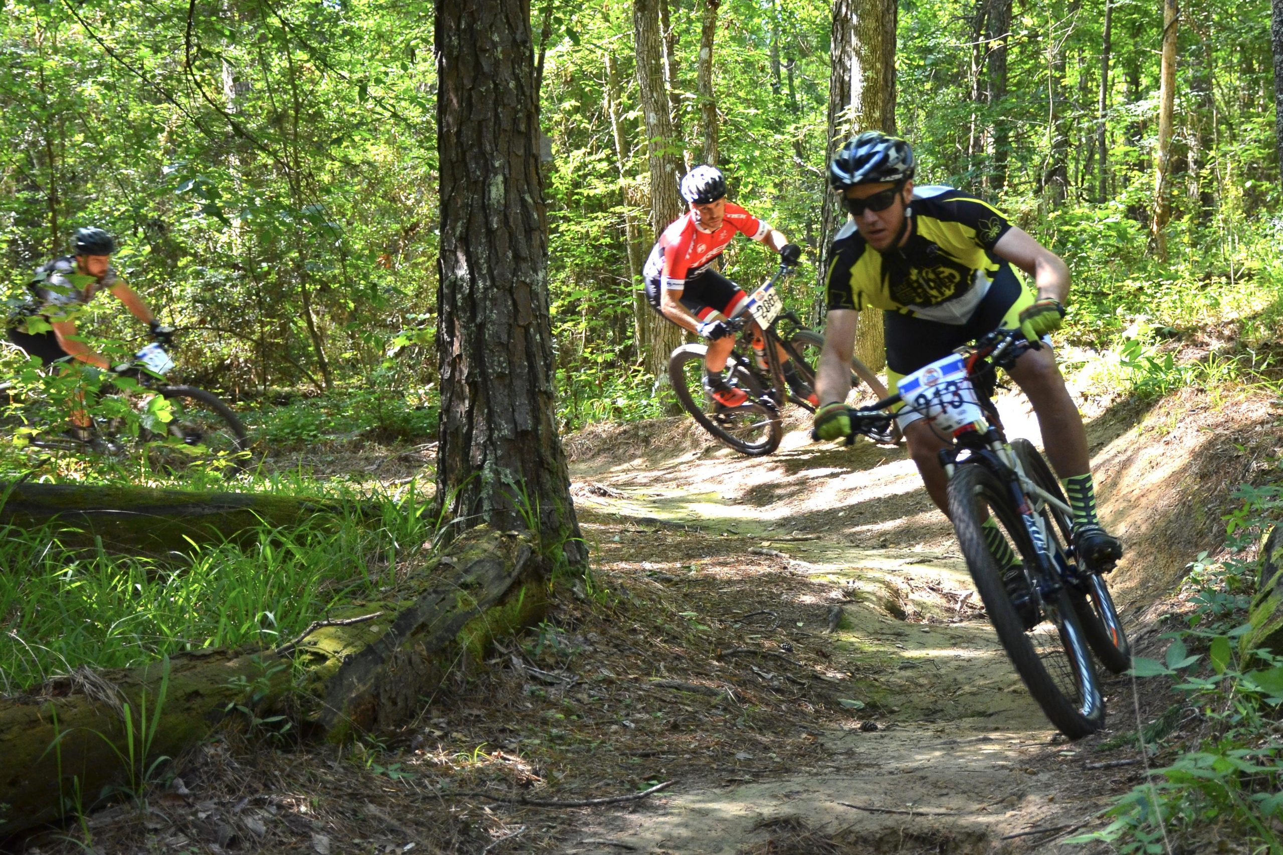 Three mountain bikers navigate a winding trail in a lush, green forest. The riders are dressed in colorful cycling gear, with one wearing a black and yellow jersey. Sunlight filters through the trees, highlighting the dirt path and surrounding foliage. Mt. Zion Bike Trails mountain bike trail.