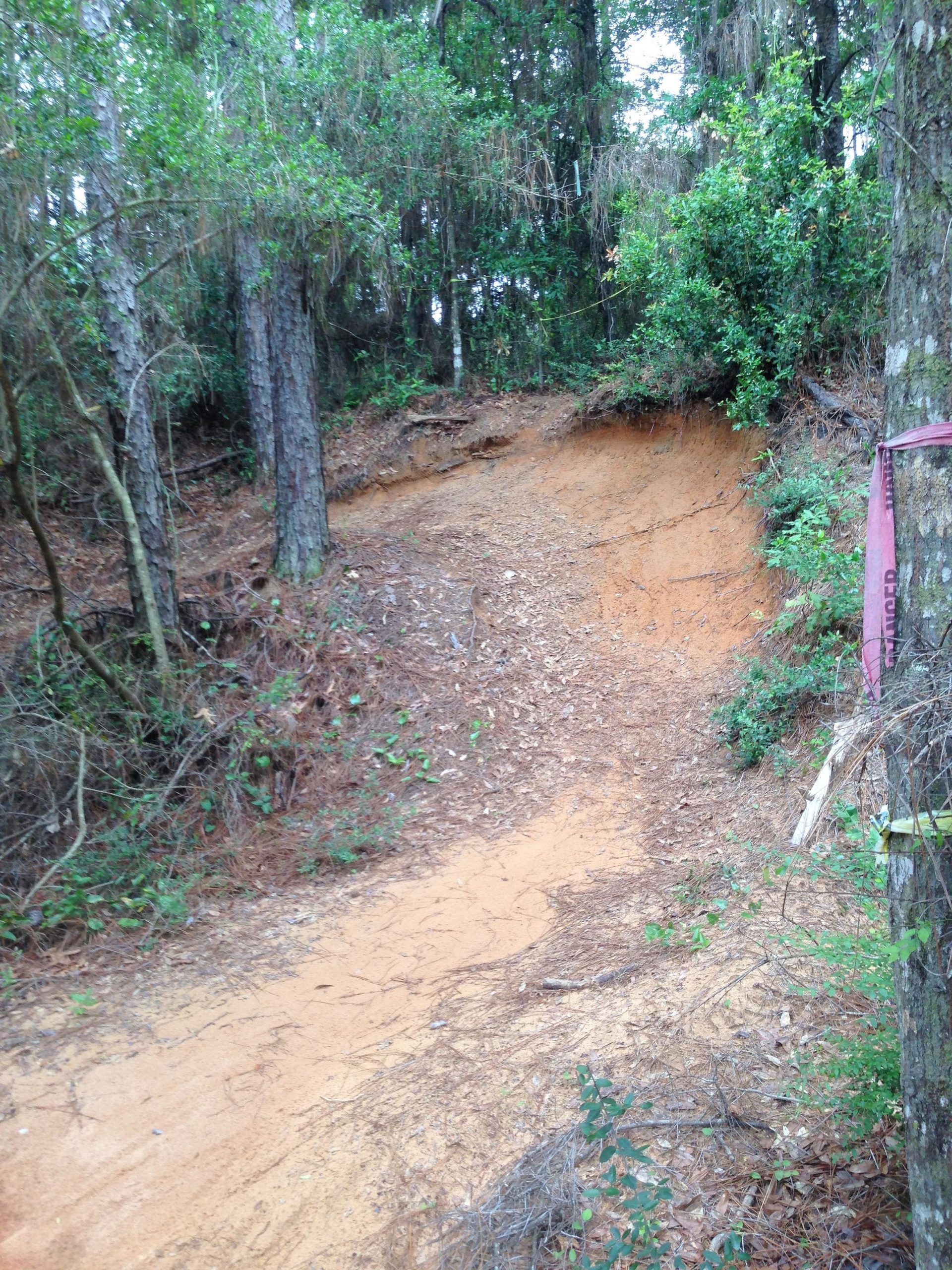 A trail leading uphill through a wooded area, featuring exposed soil and surrounding vegetation including trees and shrubs. The path appears worn, with patches of pine needles and leaves scattered along the ground. UWF Mountain Bike Trails mountain bike trail.