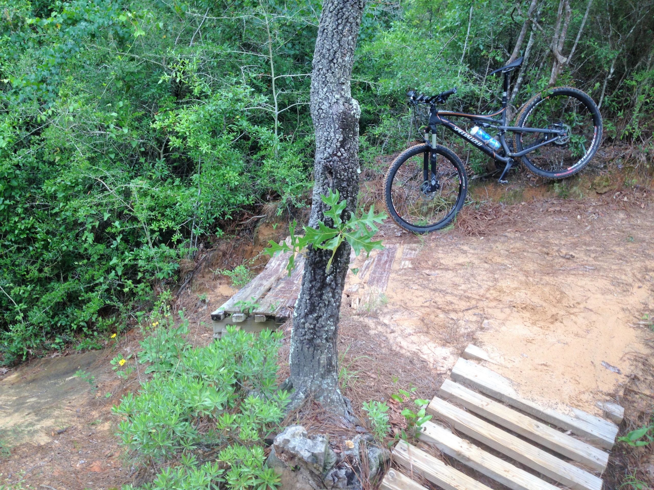 A mountain bike leaning against a tree on a rugged trail surrounded by dense greenery. A small wooden ramp is visible on the ground, leading into a dirt path. UWF Mountain Bike Trails mountain bike trail.