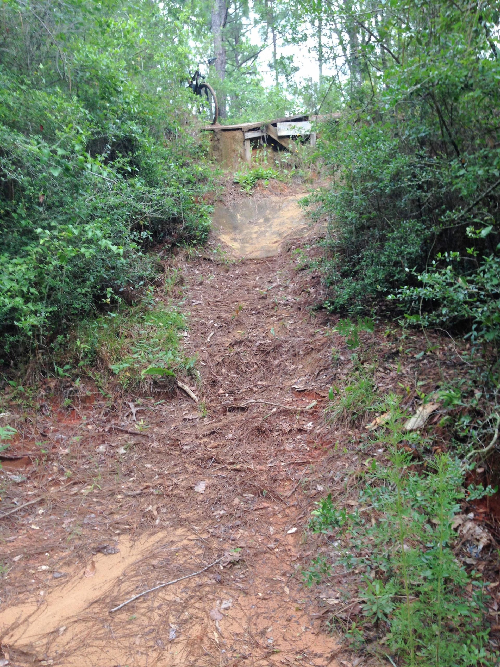 A dirt path leading up a slight incline surrounded by dense greenery, with a wooden ramp visible at the top. Pine needles and leaves cover the ground, and a bicycle is situated at the top of the ramp. UWF Mountain Bike Trails mountain bike trail.