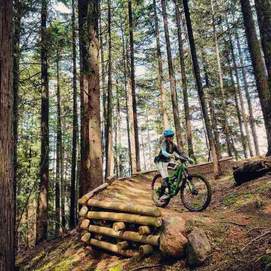 A person riding a green mountain bike on a wooden trail feature in a forested area with tall trees and dappled sunlight filtering through the leaves. Larison Rock mountain bike trail.