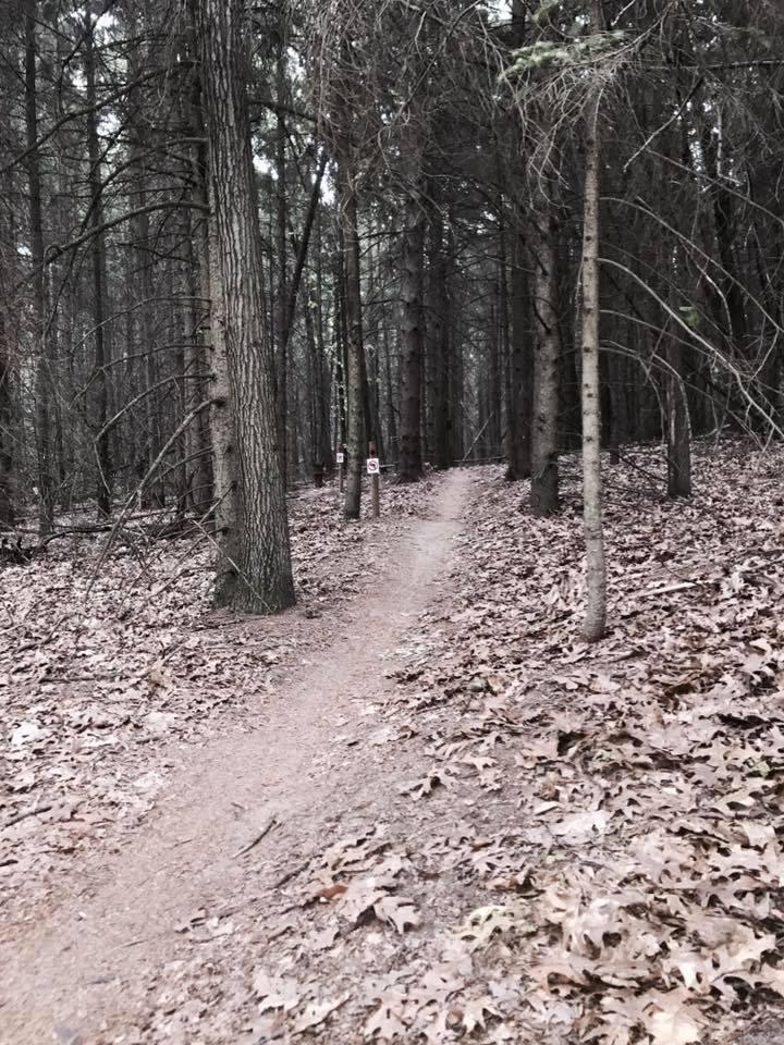 A narrow dirt trail winding through a dense forest, surrounded by tall trees with sparse foliage and a carpet of brown leaves covering the ground. There are trail signs visible along the path. The atmosphere is tranquil and slightly overcast, creating a serene woodland setting. Merrell Trail mountain bike trail.