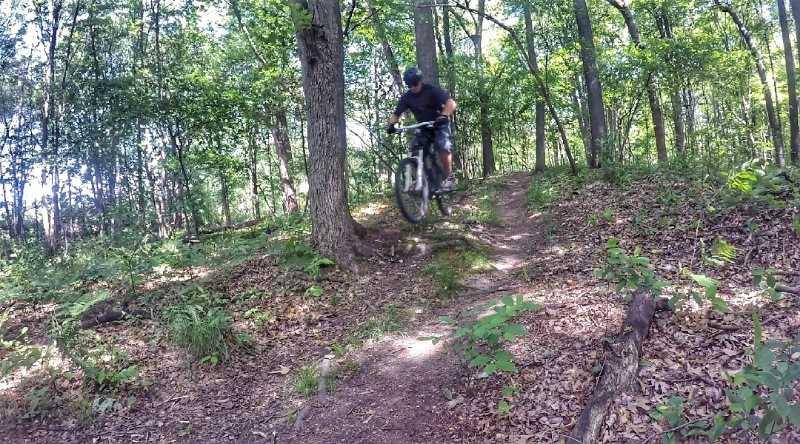 A mountain biker performing a jump on a dirt trail surrounded by trees in a wooded area. The scene captures the moment of elevation as the bike lifts off the ground, highlighting the rider's skill and the natural environment. Edwards Creek mountain bike trail.