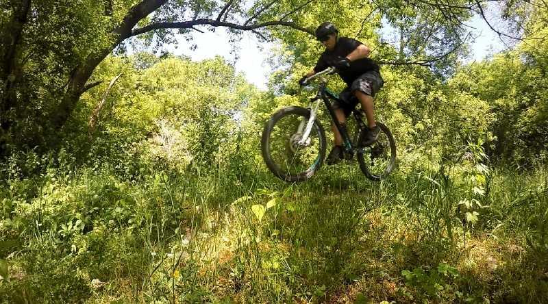 A person in protective gear riding a mountain bike, captured mid-air while jumping over a grassy terrain in a wooded environment. Lush greenery surrounds the scene, highlighting a vibrant outdoor adventure. Edwards Creek mountain bike trail.