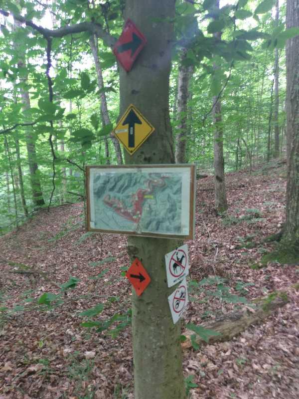A tree in a wooded area displaying various trail signs and a topographic map. The signs include directional arrows and symbols indicating restrictions, while the map outlines the hiking trails in the vicinity. The forest has lush green foliage and a layer of fallen leaves on the ground. PCP Trails mountain bike trail.