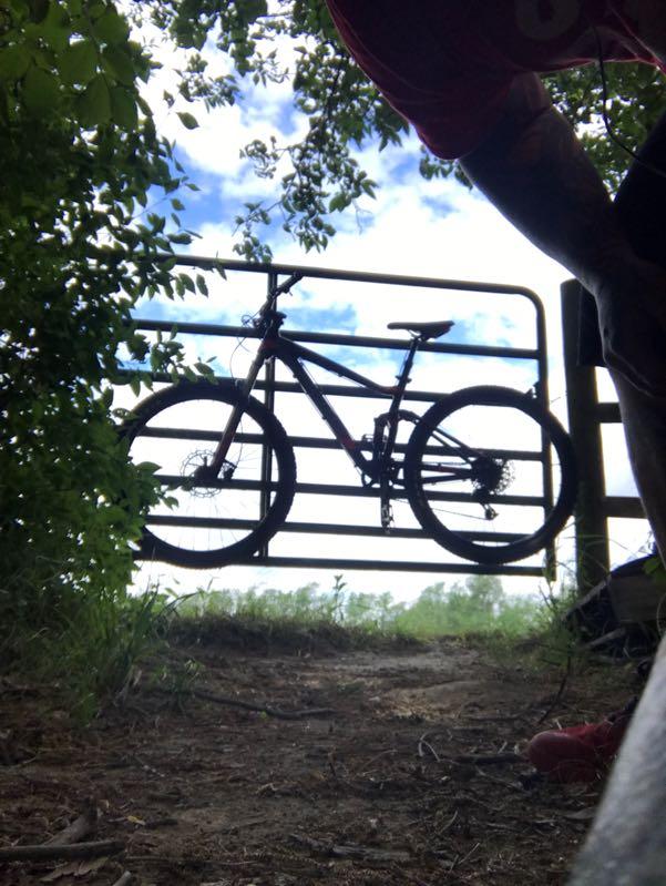 A mountain bike rests against a gate in a wooded area, with a clear blue sky visible in the background. The image is taken from a low angle, capturing the bike and the surrounding greenery. Holdridge Recreation Area mountain bike trail.