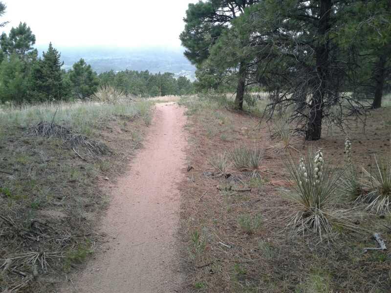 A winding dirt path leads through a forested area with pine trees and sparse grass. The trail, surrounded by greenery, gently slopes downward and disappears into the distance, where a misty view of the landscape can be seen. Falcon Trail mountain bike trail.