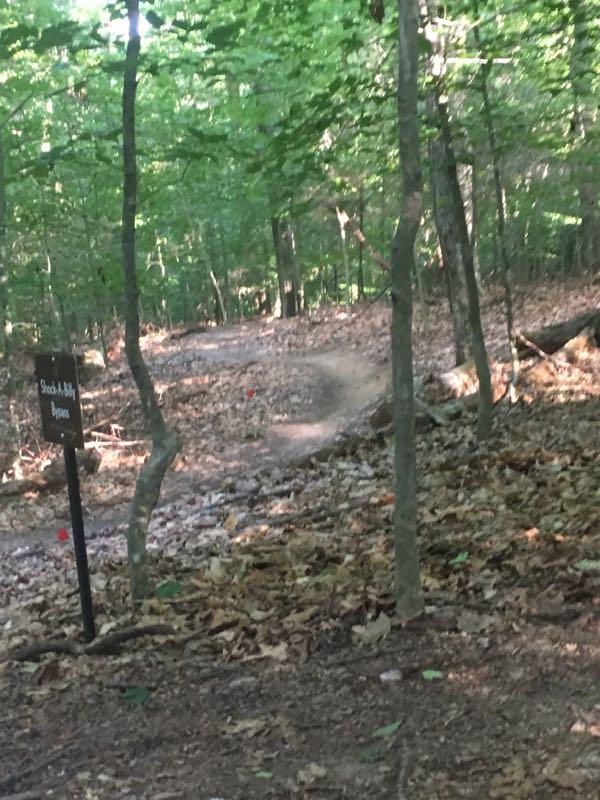 A wooded trail winding through a forest, with a sign labeled "Shock & Billy Bypass" on the left. The ground is covered in fallen leaves and the scenery is illuminated by dappled sunlight filtering through the trees. Fountainhead Regional Park mountain bike trail.