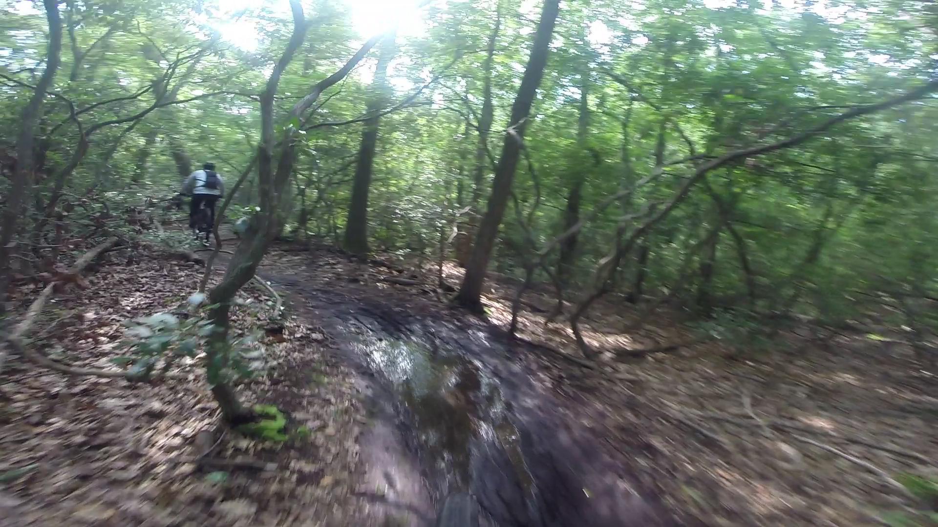 A cyclist navigating a narrow, muddy trail through a dense forest, surrounded by trees and sunlight filtering through the leaves. Allaire State Park mountain bike trail.