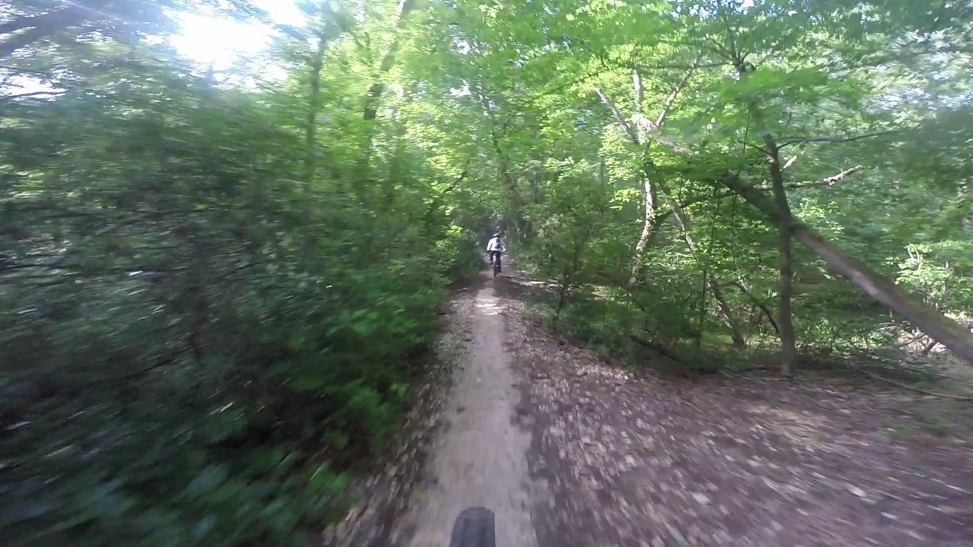 A narrow dirt trail winding through a lush green forest, with sunlight filtering through the leaves. A cyclist in the distance is riding along the path, surrounded by dense foliage on either side. Allaire State Park mountain bike trail.