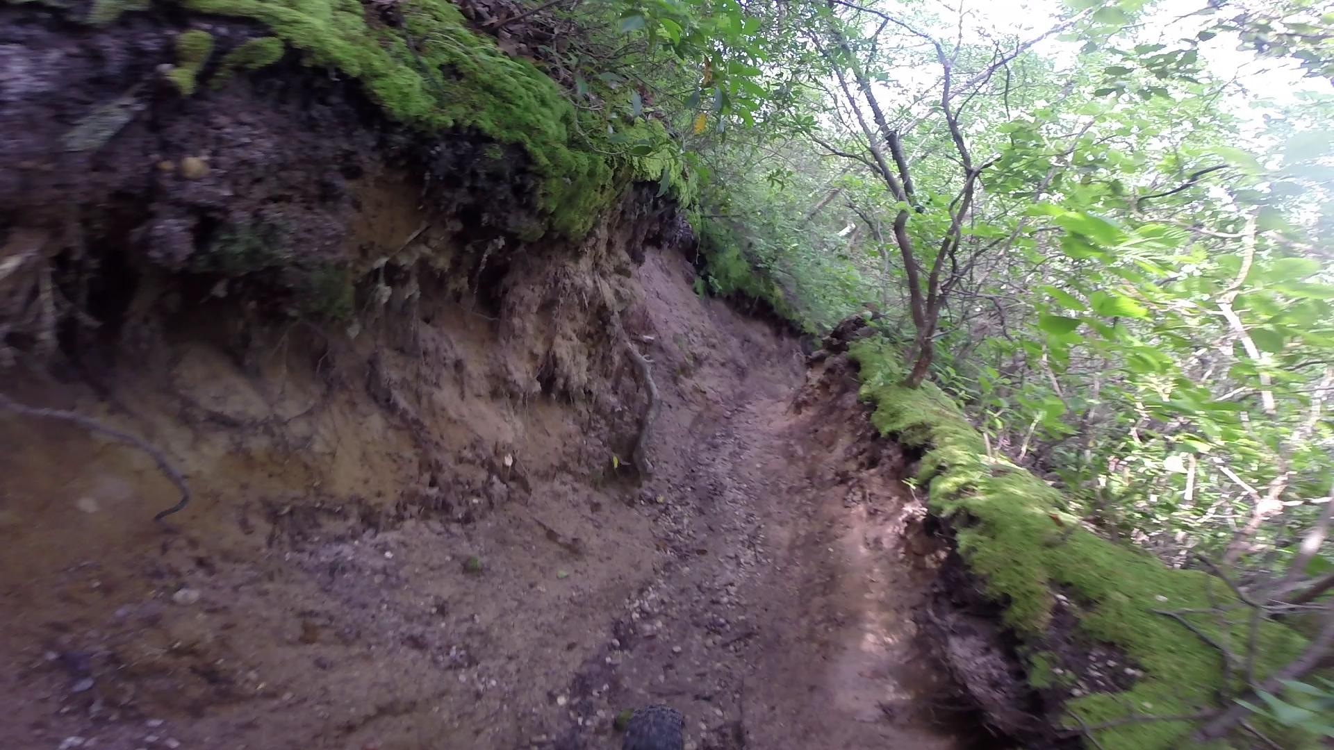 A narrow, winding dirt trail surrounded by lush greenery and moss-covered rocks, leading through a forested area. The trail is slightly worn and features exposed roots along its edges, indicating frequent use. Sunlight filters through the canopy, creating a serene atmosphere. Allaire State Park mountain bike trail.