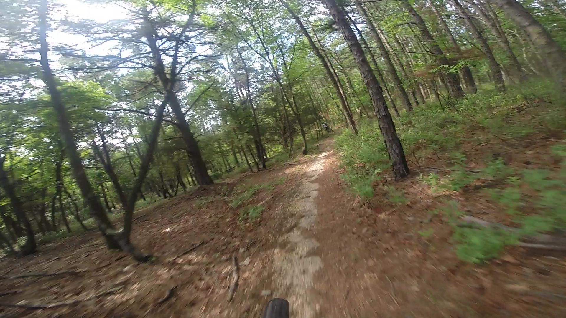 A winding dirt path through a lush green forest, surrounded by tall trees and scattered foliage. The scene captures a sense of adventure and tranquility in nature. Allaire State Park mountain bike trail.