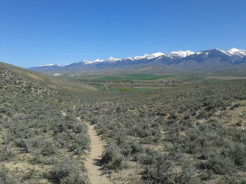 A scenic view of a desert landscape featuring rolling hills covered in sparse vegetation, leading to a dirt path that winds through the terrain. In the background, a range of snow-capped mountains is visible under a clear blue sky, with green fields at the base of the mountains. Owl Canyon Loop mountain bike trail.