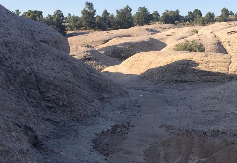 A rocky landscape featuring smooth, worn stone surfaces and shallow crevices, with sparse vegetation and trees in the background under a clear blue sky. Gooseberry Mesa mountain bike trail.