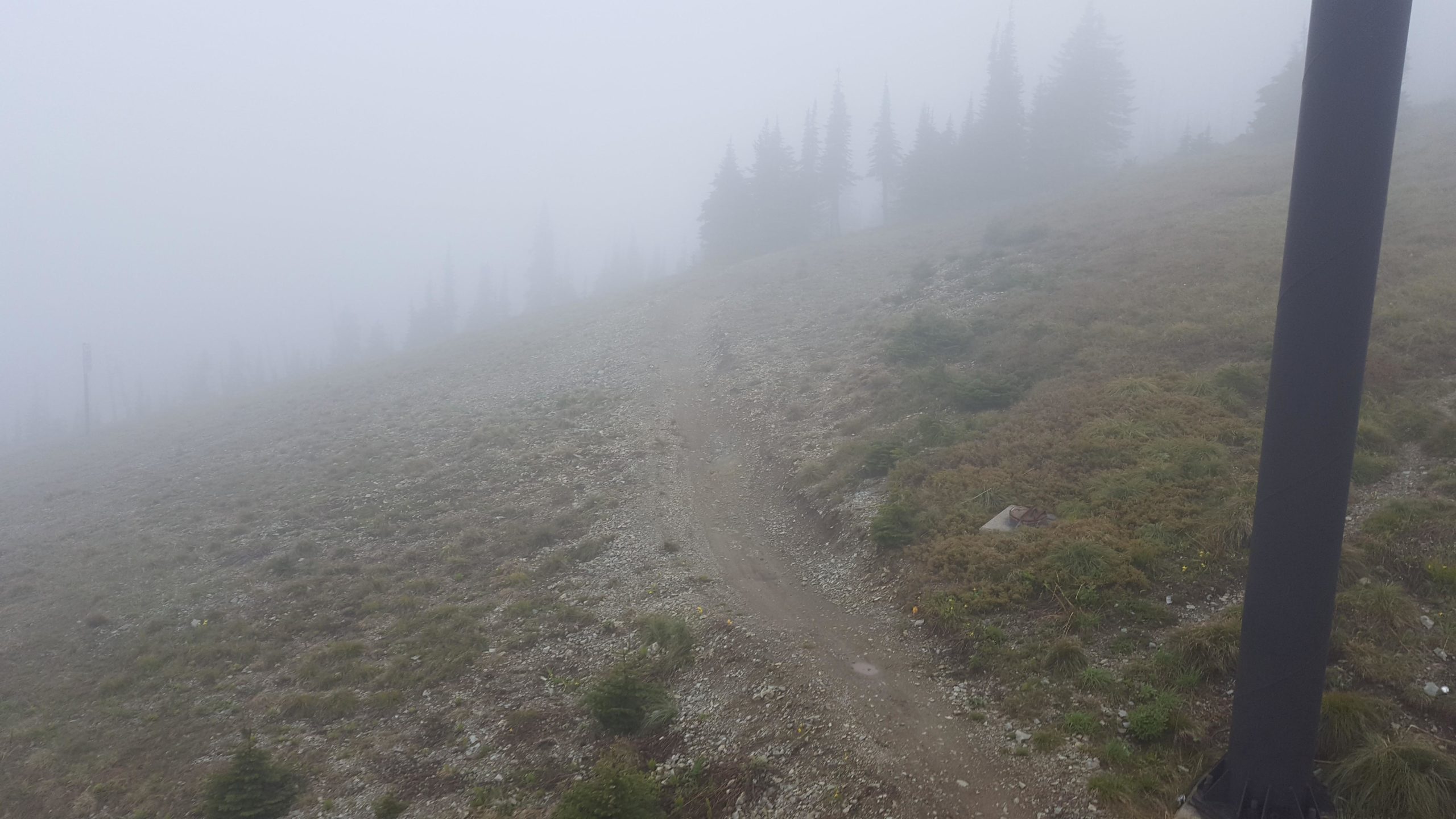 A misty mountain landscape with a narrow dirt path winding through grassy terrain, surrounded by fog and scattered evergreen trees in the background. Whitefish Mountain Resort mountain bike trail.