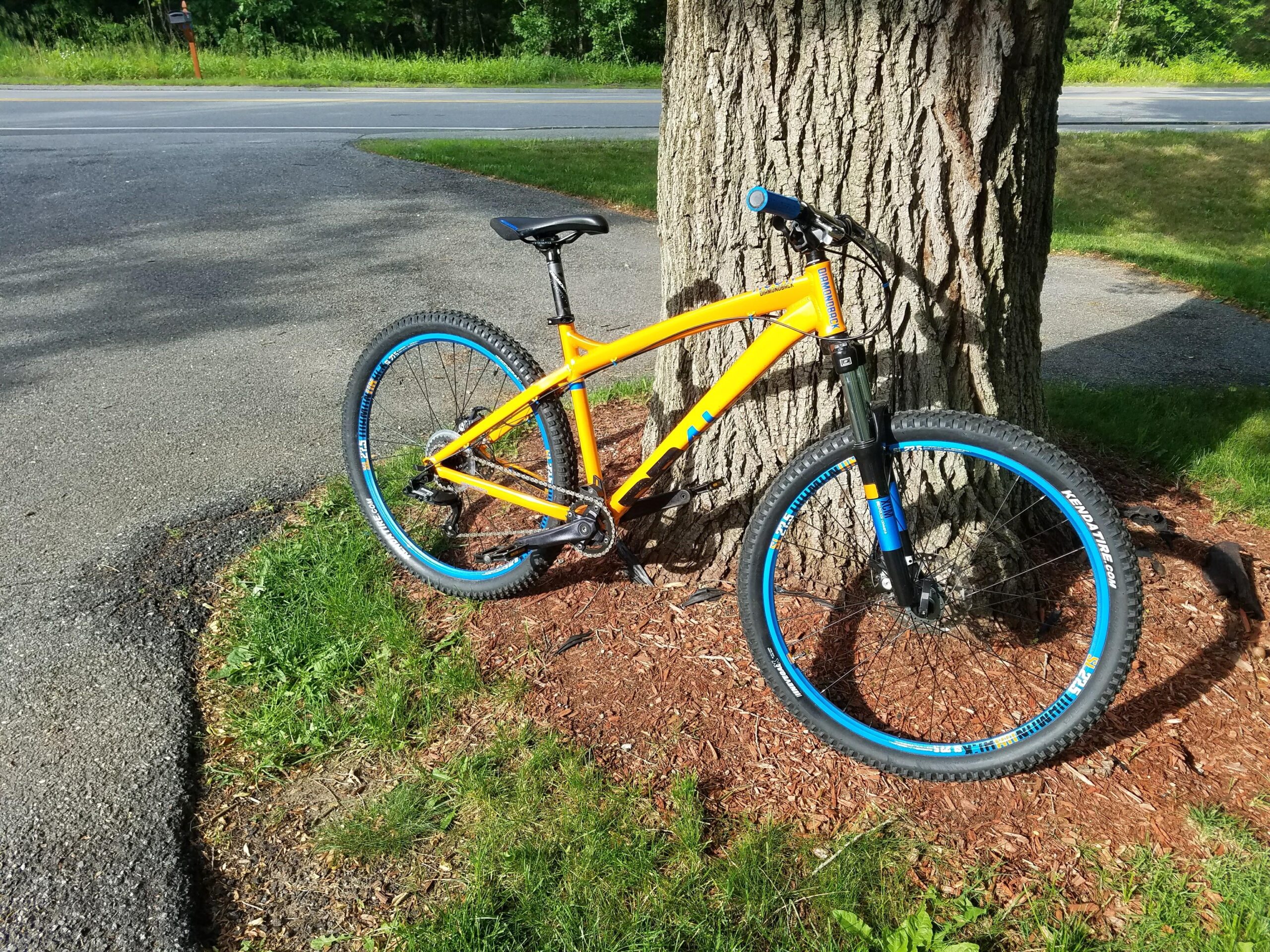 Diamondback Hook: A bright orange mountain bike with blue accents rests against a tree near a road, surrounded by green grass and mulch. The bike features thick tires suitable for off-road riding.