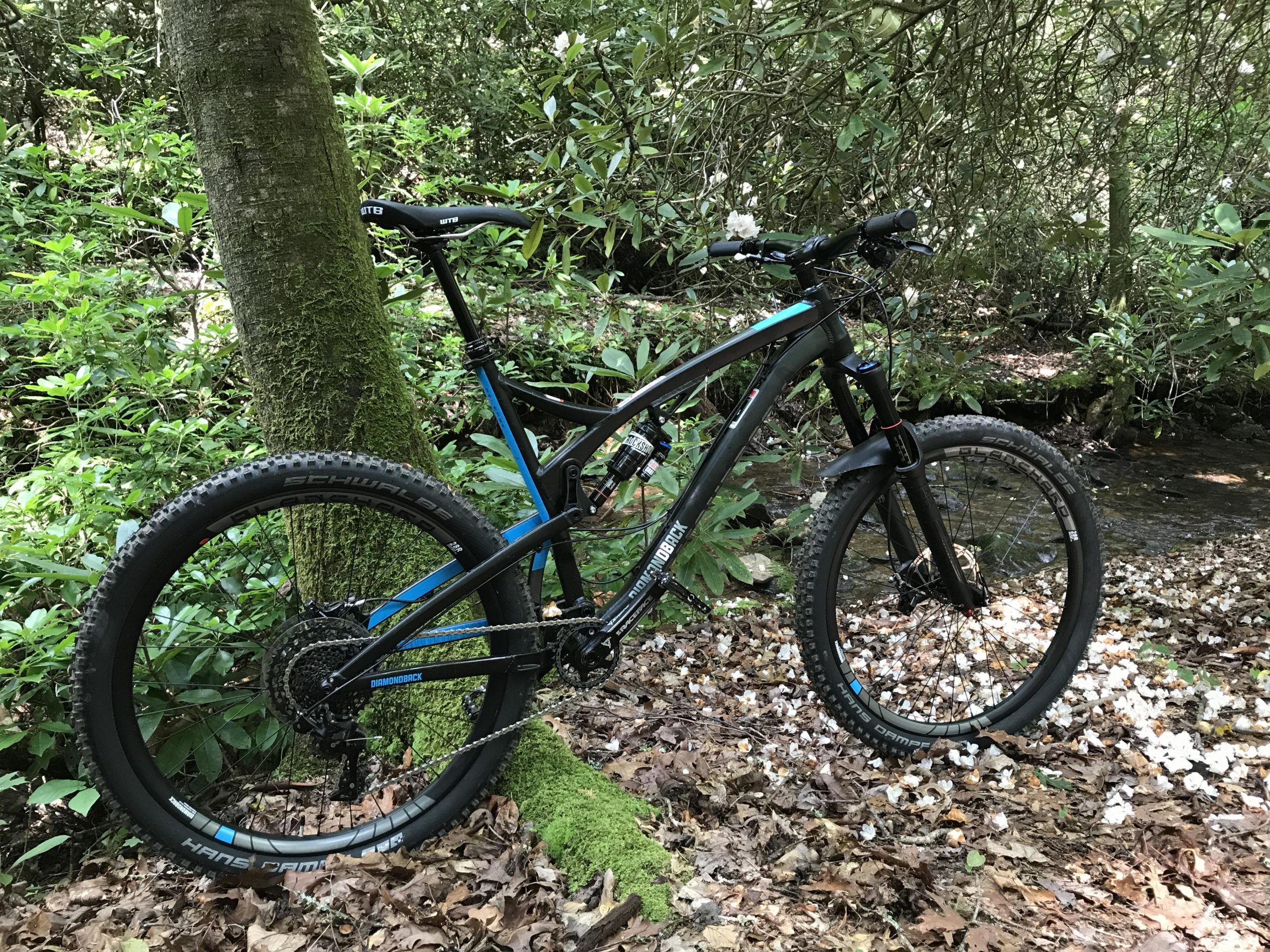 A mountain bike with a black and blue frame is leaned against a moss-covered tree in a lush, green forest. The surroundings include various leafy plants and a small stream visible in the background. Fallen leaves blanket the ground, and a few scattered white flowers enhance the natural setting. Bent Creek Asheville, NC mountain bike trail.