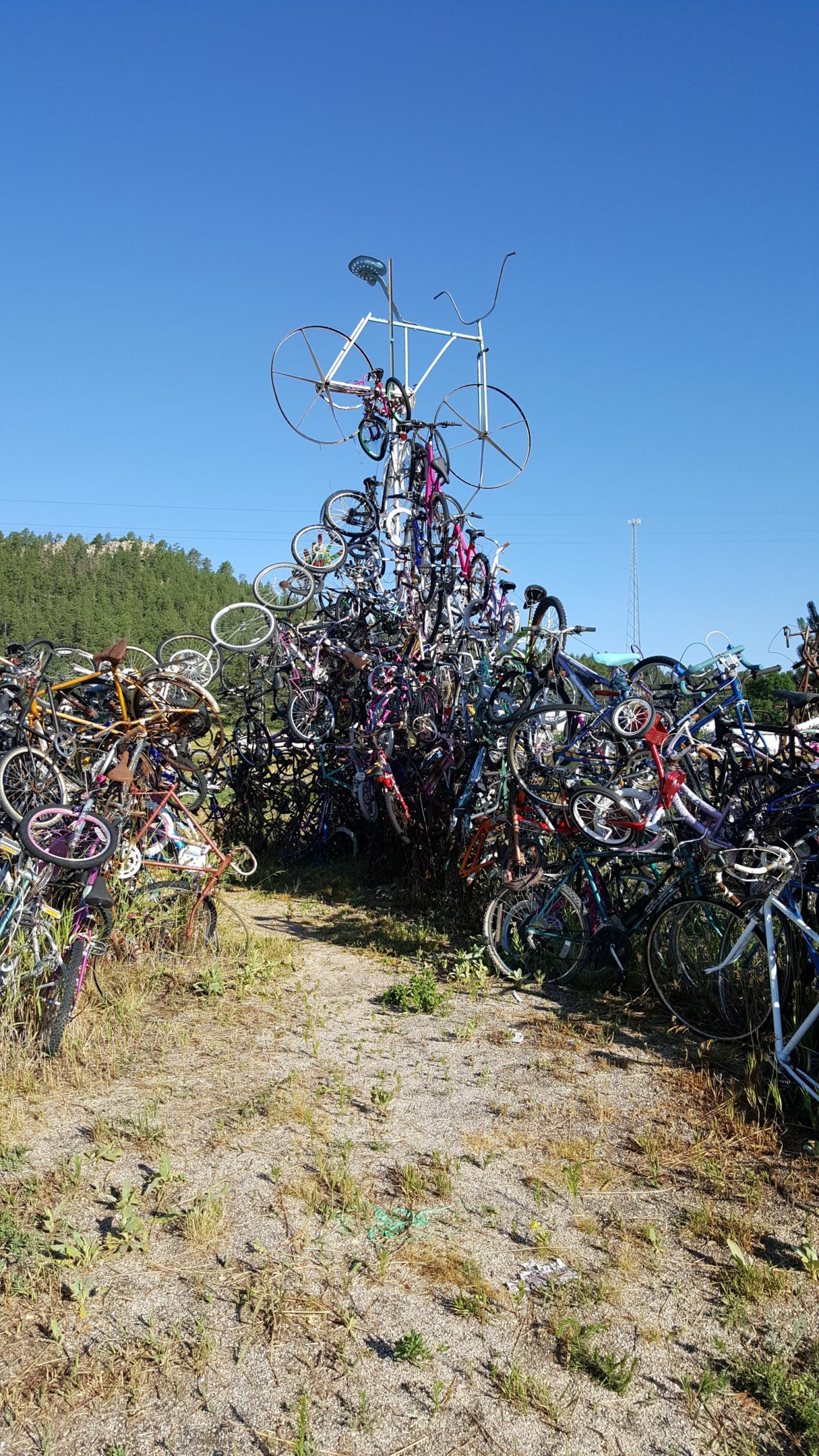 A large pile of colorful bicycles stacked haphazardly in a clearing against a bright blue sky. A few bicycles are mounted upright at the top of the pile, creating a whimsical display, while a gravel path leads through the surrounding area, with grass and weeds growing around the edges. Trees are visible in the background. The George S. Mickelson Trail mountain bike trail.