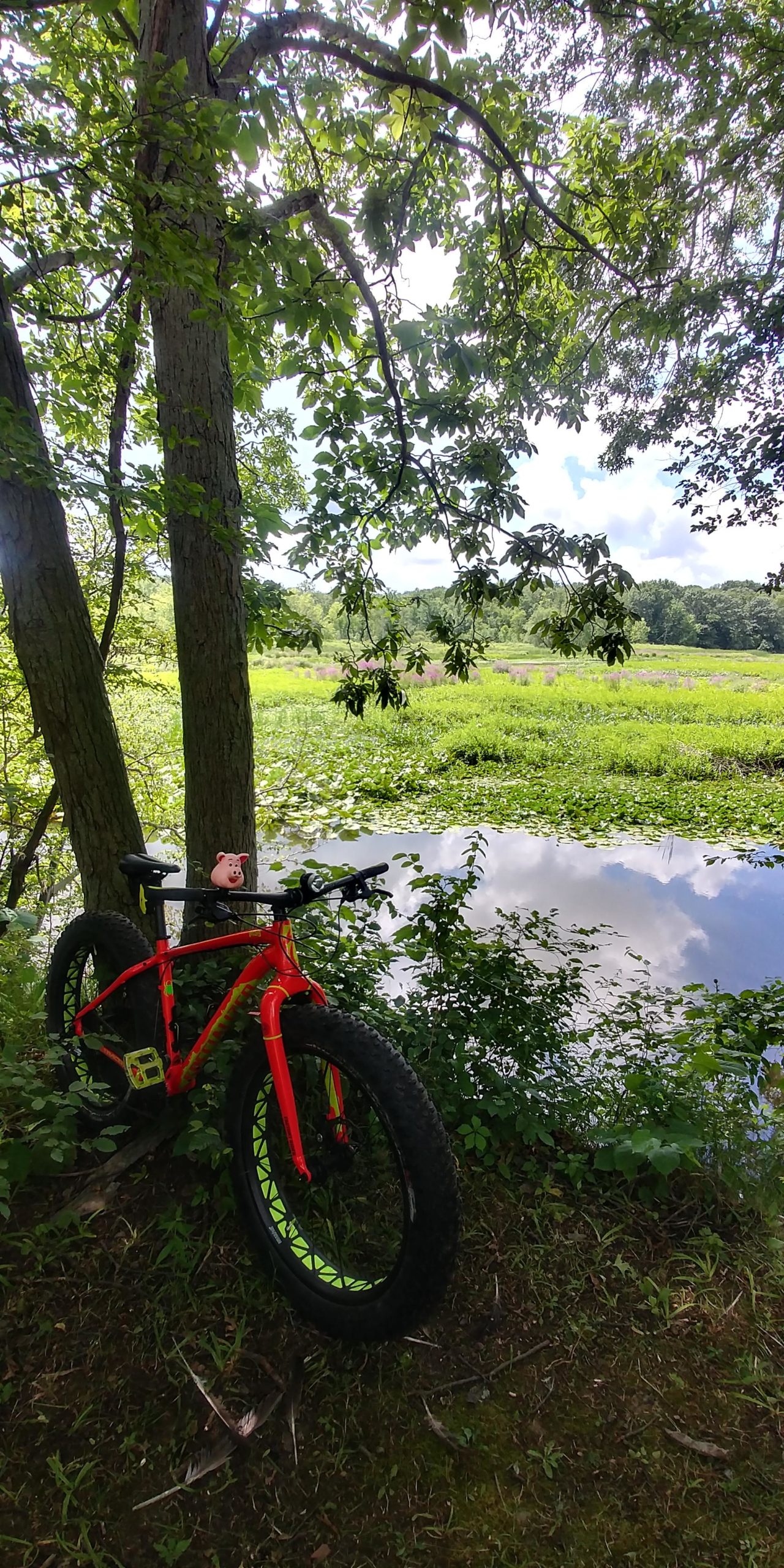 A bright red mountain bike with oversized tires is leaning against two trees near a serene pond. The scene is surrounded by lush green vegetation and colorful wildflowers, with the sky partially covered by clouds reflecting in the water. A small pig figurine is perched on the bike
