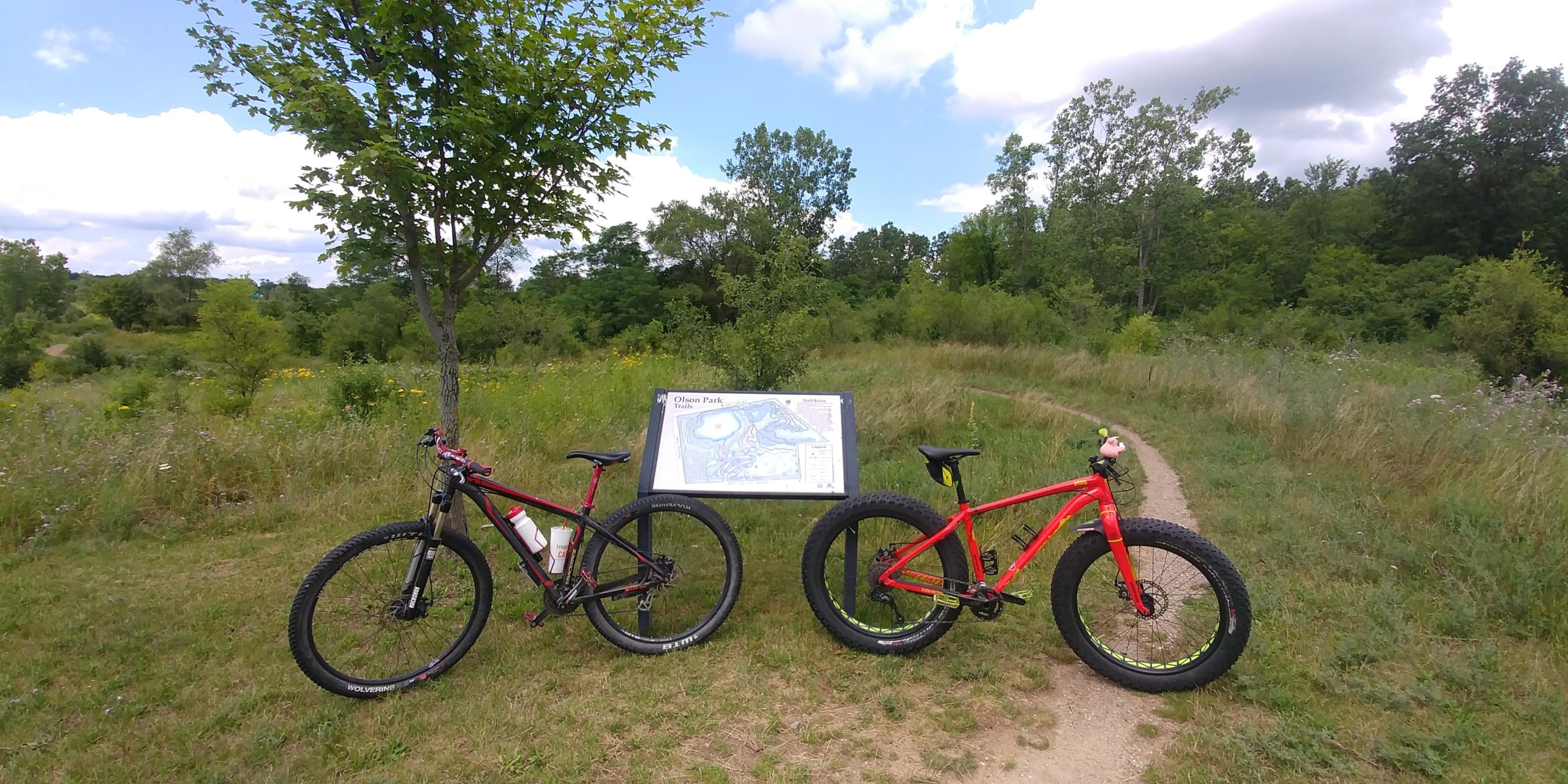 Two mountain bikes are parked on a grassy area by a trailhead sign that displays a map of Olson Park trails. One bike is a standard mountain bike, and the other is a fat bike with wider tires. The background features lush greenery and a cloudy sky, indicating a natural outdoor setting. Olson Park mountain bike trail.