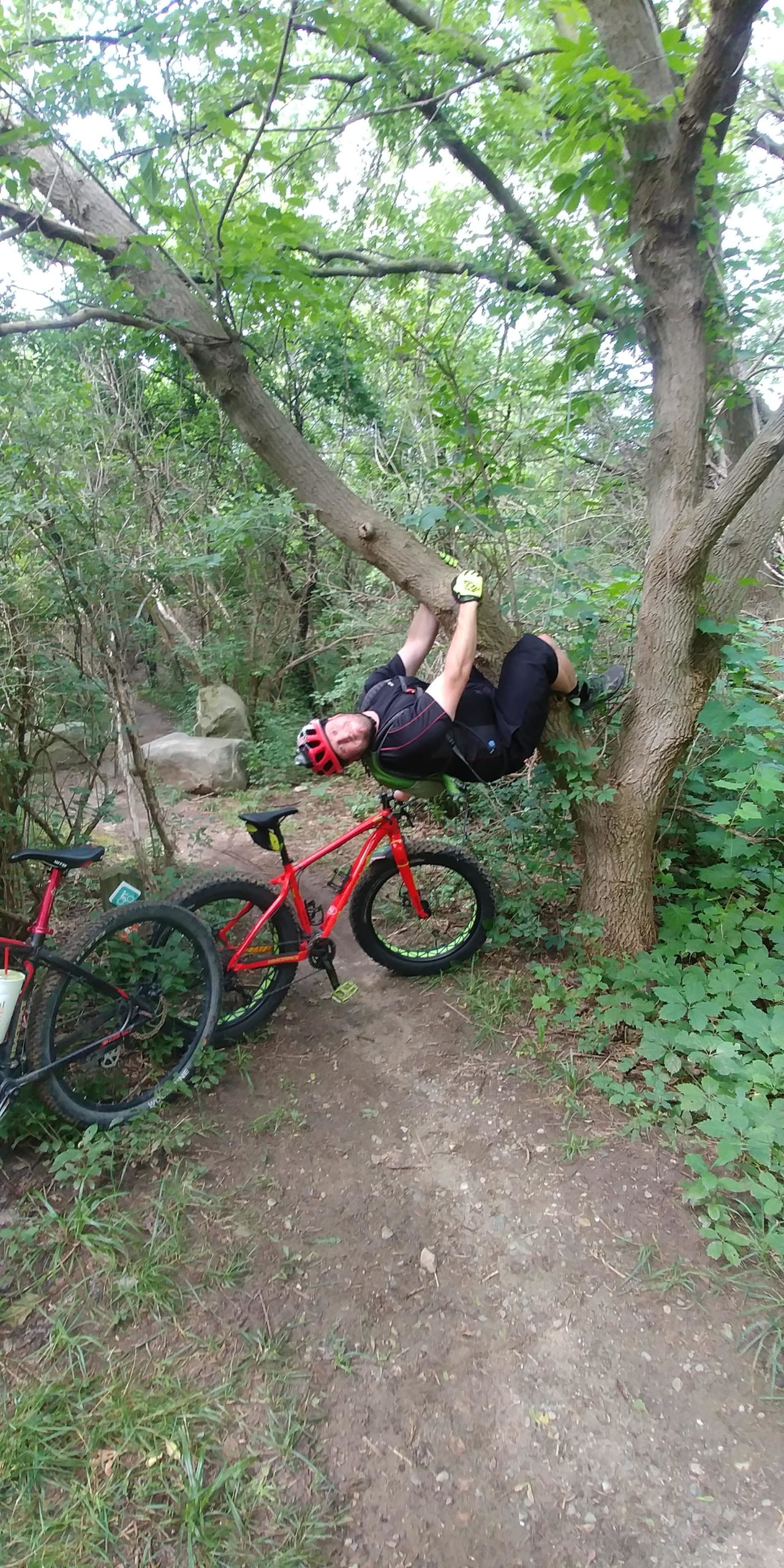 A person hanging from a tree branch in a wooded area, wearing a red helmet and black cycling gear. Two mountain bikes are propped up on the ground nearby, surrounded by lush greenery and a dirt path visible in the background. Olson Park mountain bike trail.
