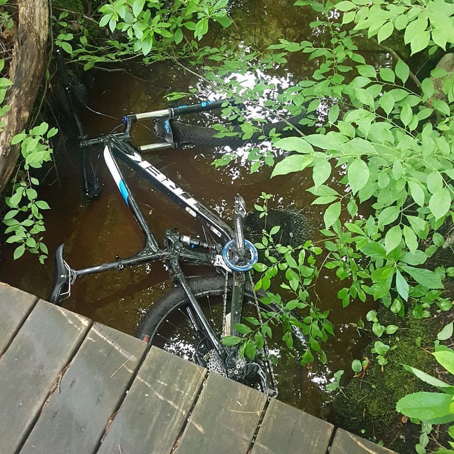 Trek Fuel EX 5: A bike partially submerged in muddy water surrounded by lush green foliage, with a wooden deck visible in the foreground.