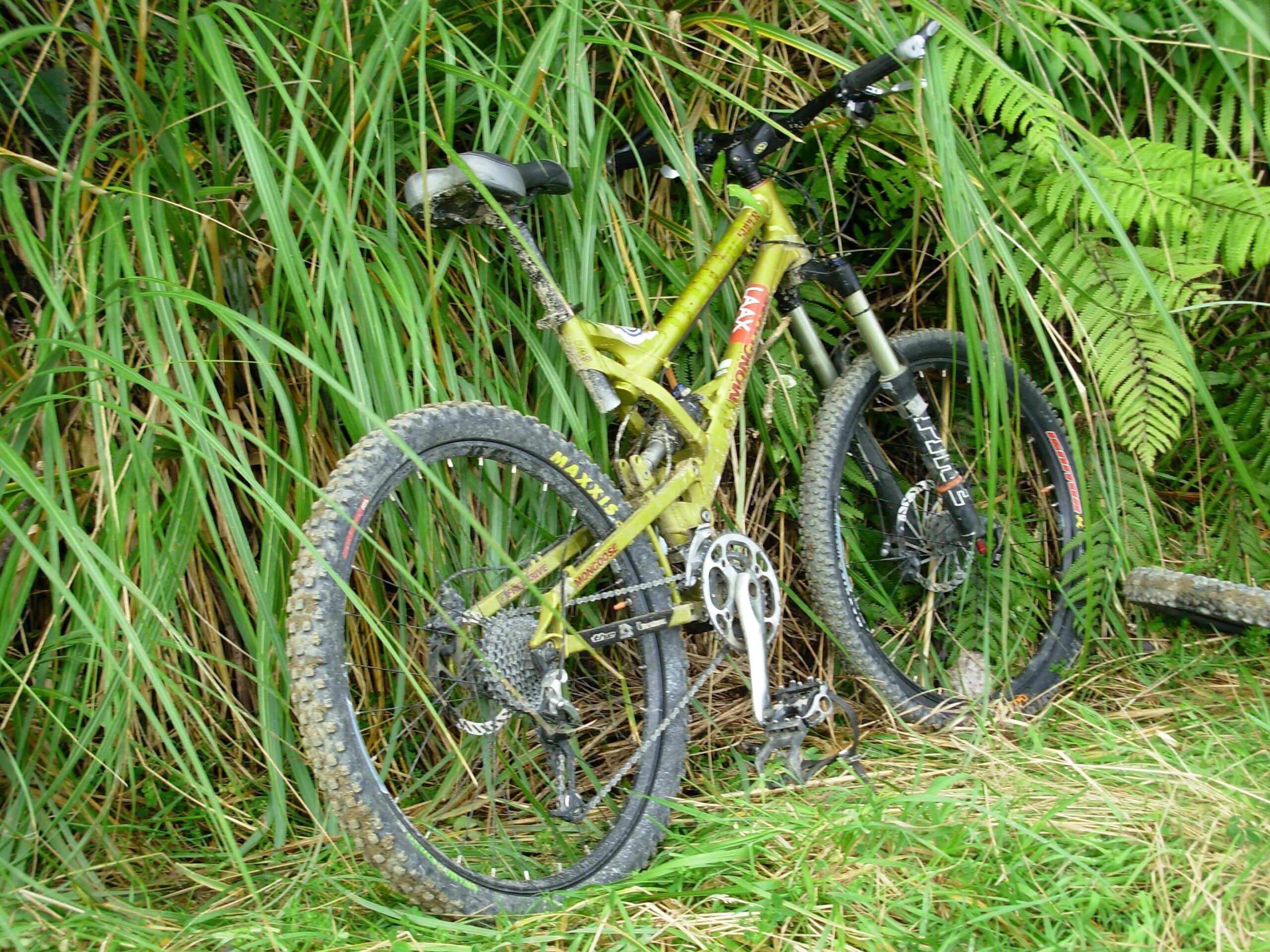 Mongoose Teocali Comp: A green and silver mountain bike leaning against tall grass and ferns, showing signs of dirt and use, with one wheel partially obscured.