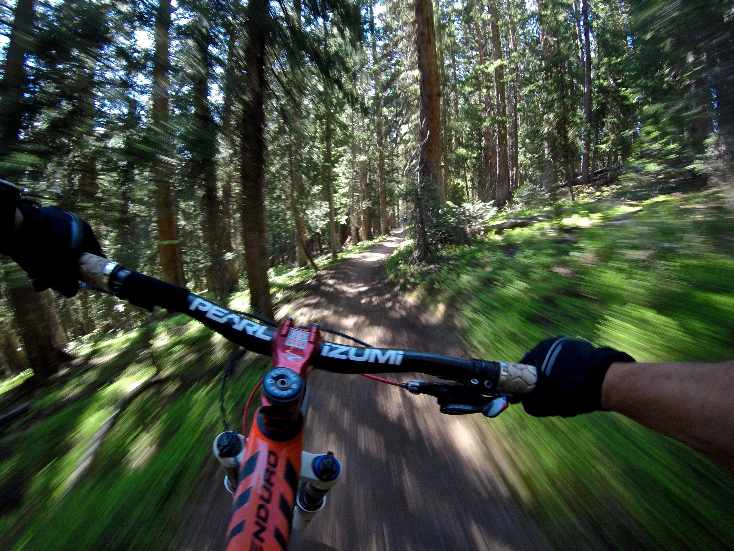 A close-up view of a mountain bike handlebar with gloved hands gripping it, riding on a dirt trail through a dense forest. The background is a blur of green foliage and tall trees, suggesting high speed and a dynamic biking experience. Vail Mountain Bike Park mountain bike trail.
