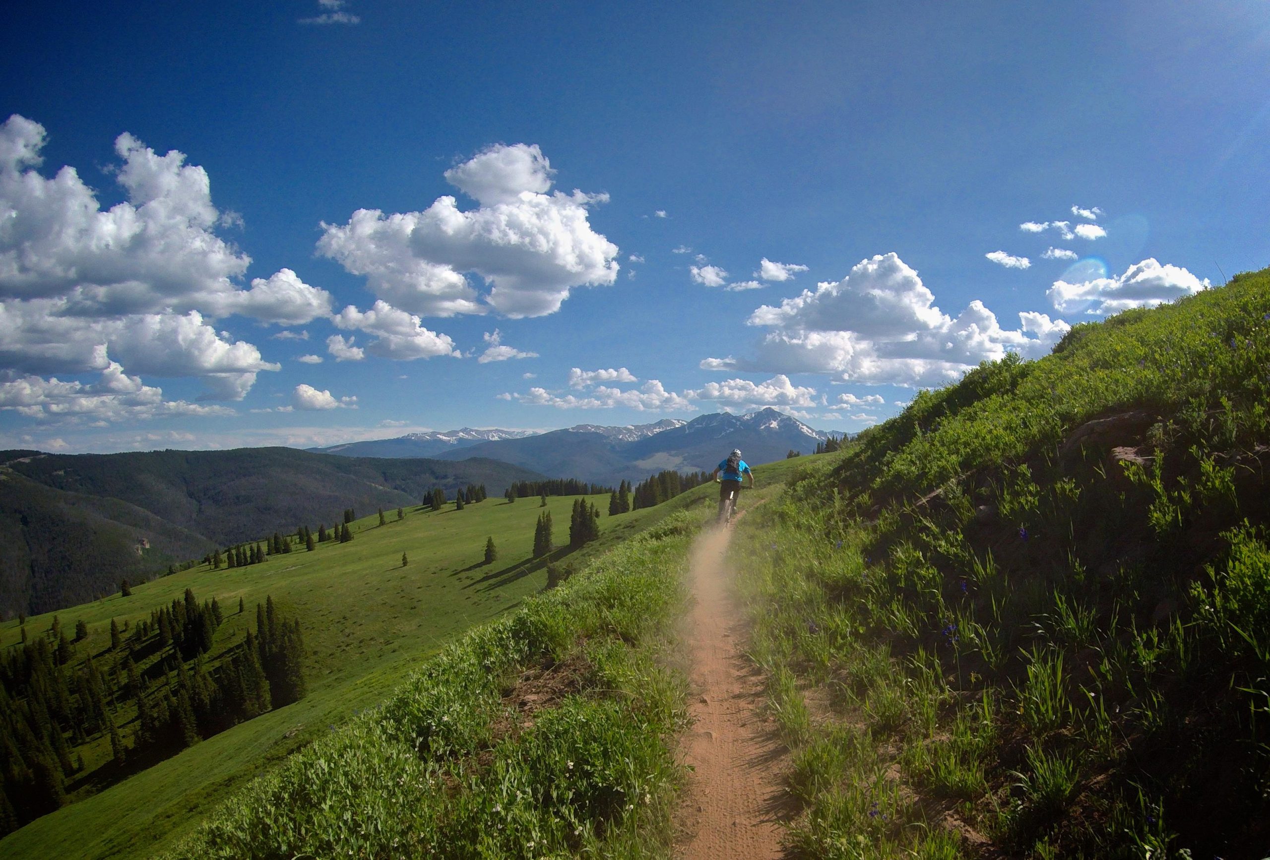 A mountain biker riding on a dirt trail through a lush green landscape, with rolling hills and mountains in the background under a bright blue sky dotted with fluffy white clouds. Dust trails behind the bike as it navigates the winding path. Vail Mountain Bike Park mountain bike trail.