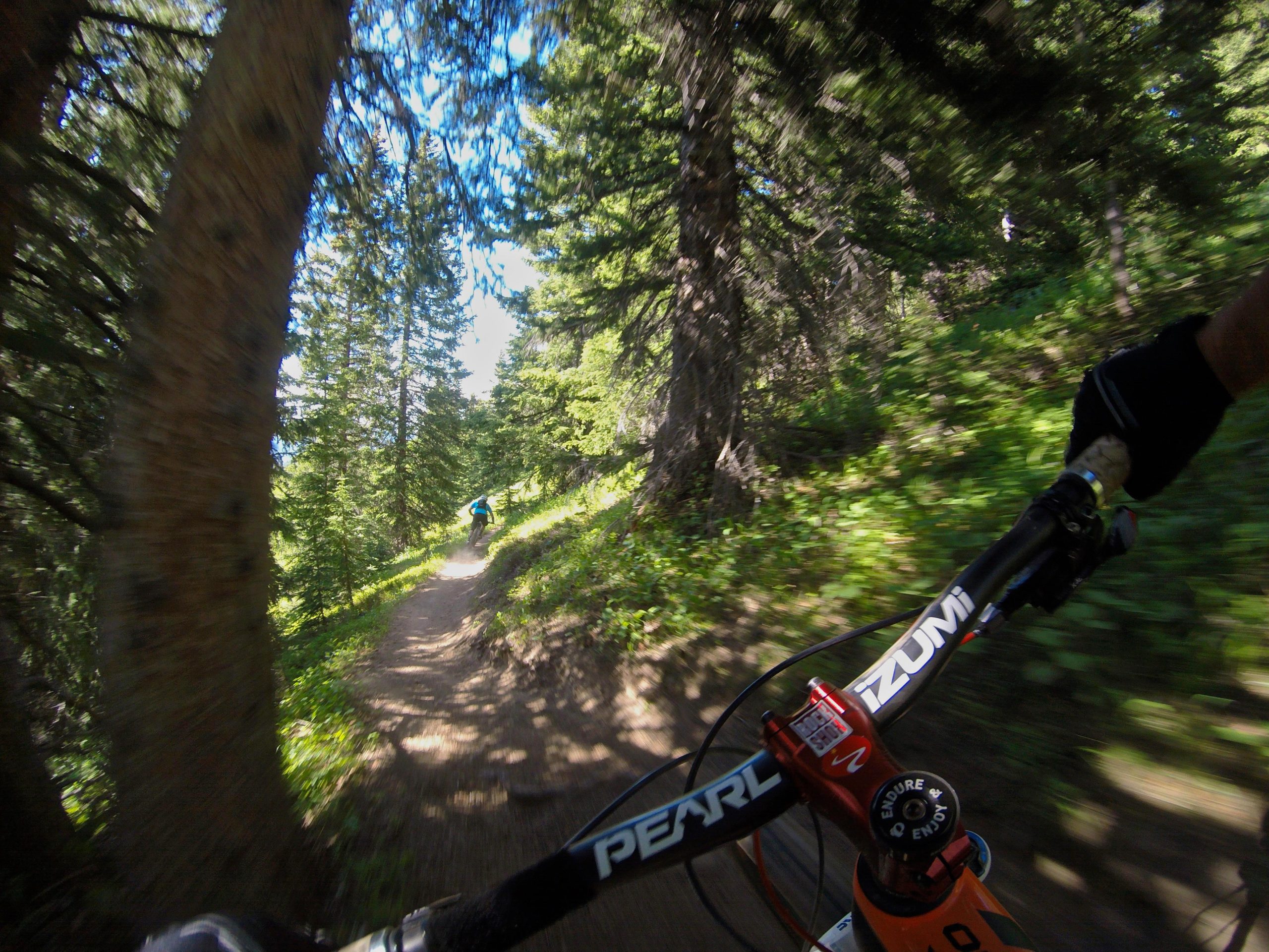A mountain biker navigating a winding dirt trail surrounded by tall green trees under a clear blue sky, viewed from a low angle showing the handlebars of the bike. Vail Mountain Bike Park mountain bike trail.