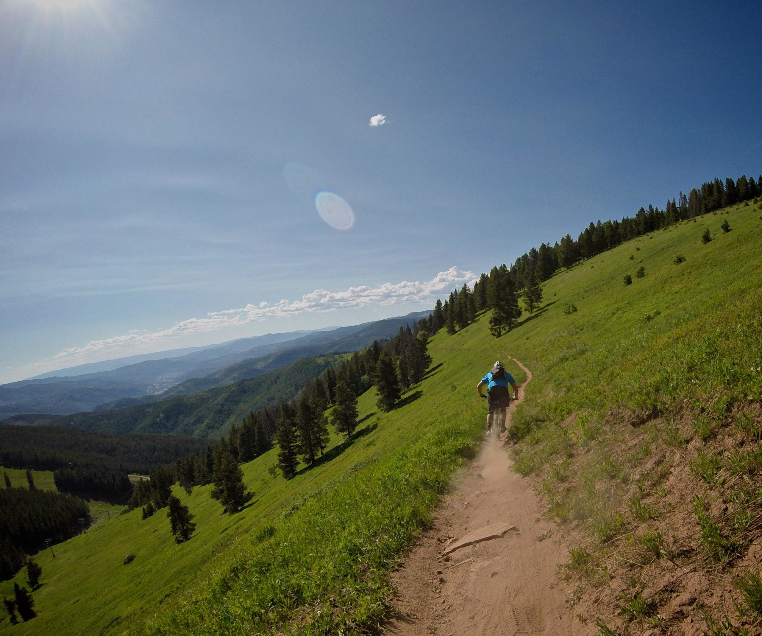 A cyclist riding a mountain bike on a dirt trail through a lush green hillside, surrounded by trees, under a clear blue sky with a few clouds. Vail Mountain Bike Park mountain bike trail.