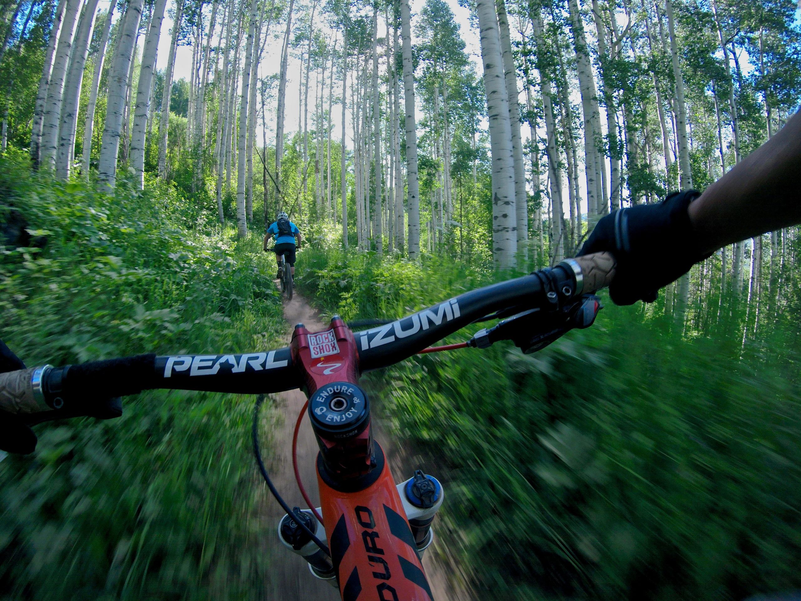 Two mountain bikers navigate a narrow dirt trail through a lush green forest with tall, white-barked trees. The view is from the perspective of the rider in front, showing the handlebars and gloves gripping the bike, as they speed forward, creating a sense of motion and adventure. Vail Mountain Bike Park mountain bike trail.