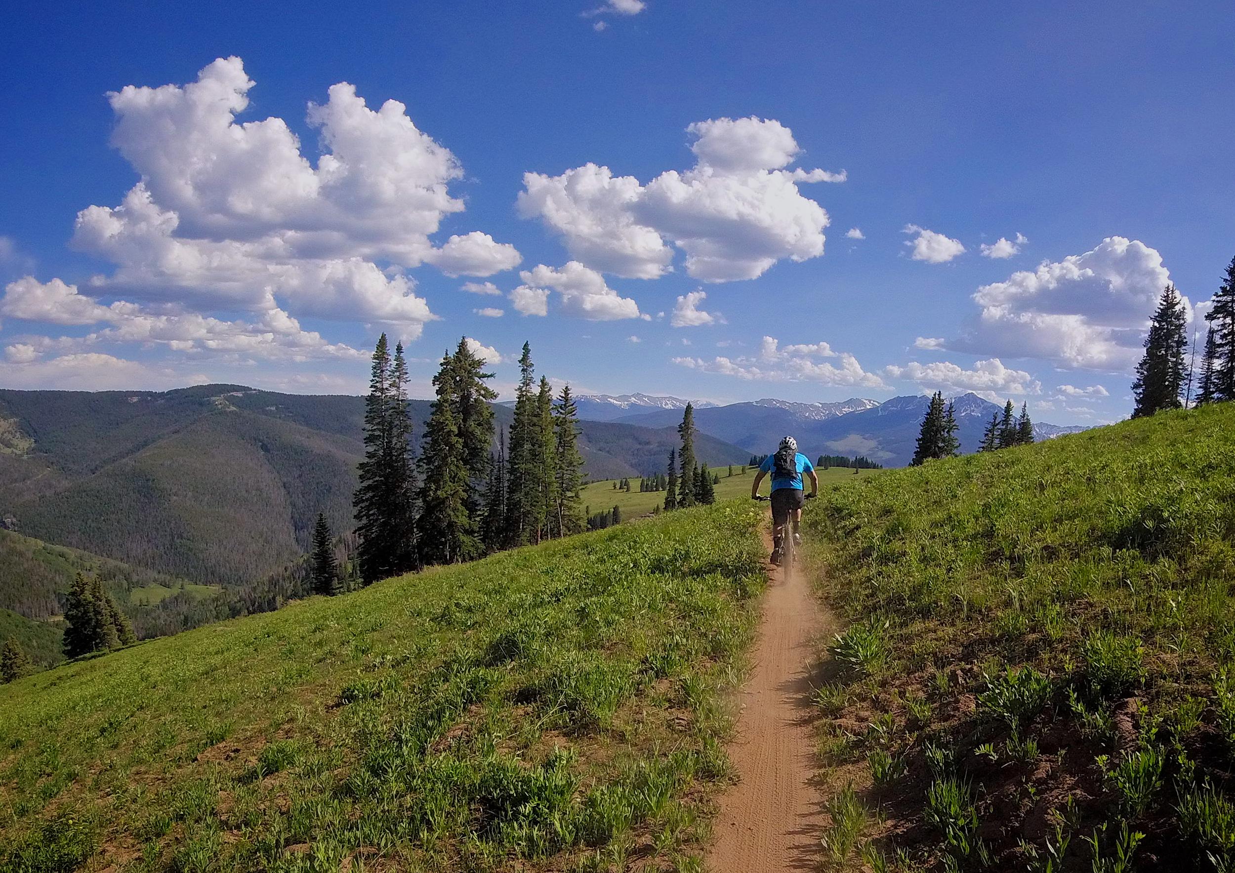 A person mountain biking on a dirt path through a lush green landscape, surrounded by tall trees and distant mountains under a clear blue sky with fluffy white clouds. Vail Mountain Bike Park mountain bike trail.