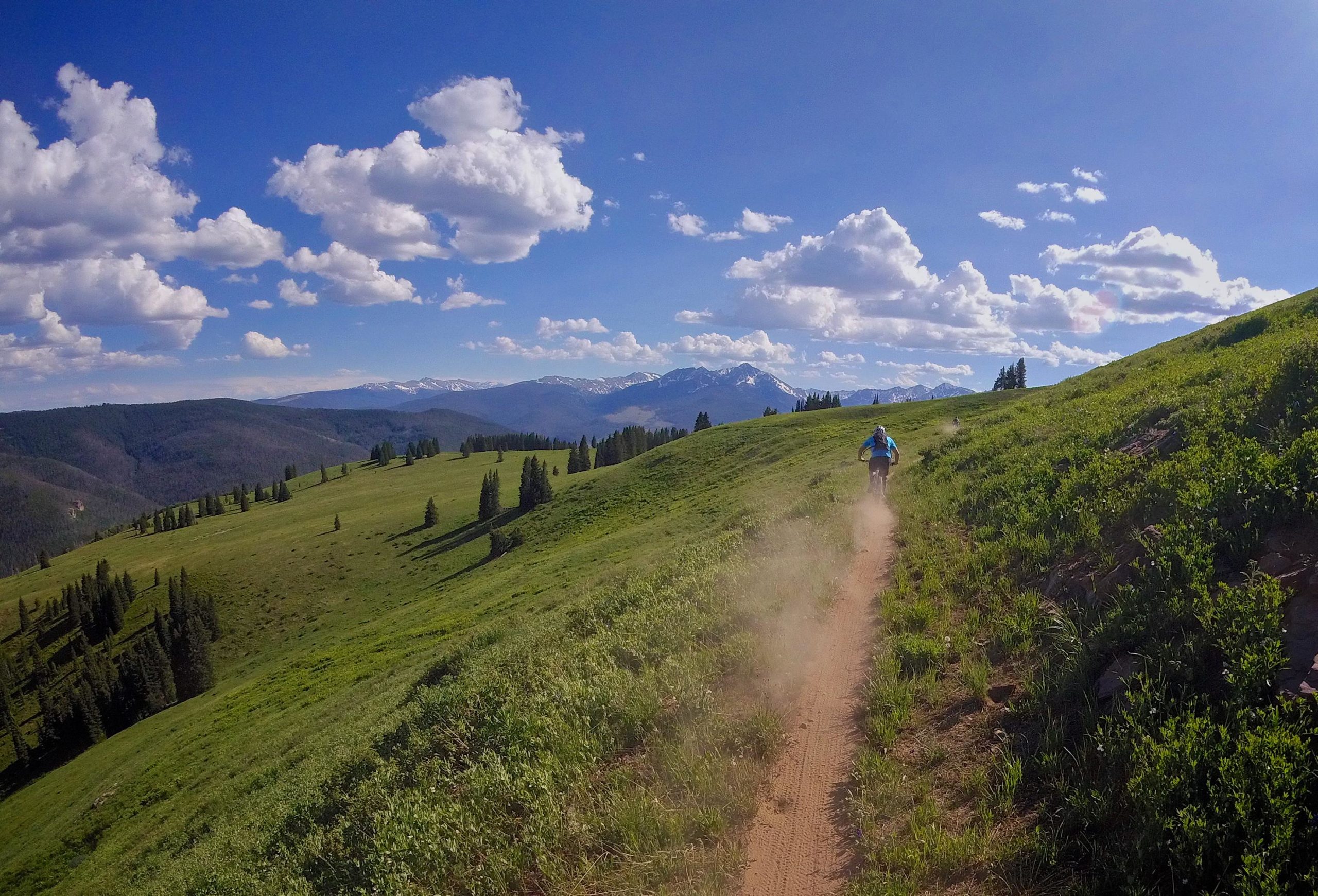 A cyclist riding down a dirt trail through a lush, green landscape with rolling hills and distant snow-capped mountains. The sky is clear with fluffy clouds scattered throughout. Dust is kicked up behind the cyclist as they navigate the path. Vail Mountain Bike Park mountain bike trail.